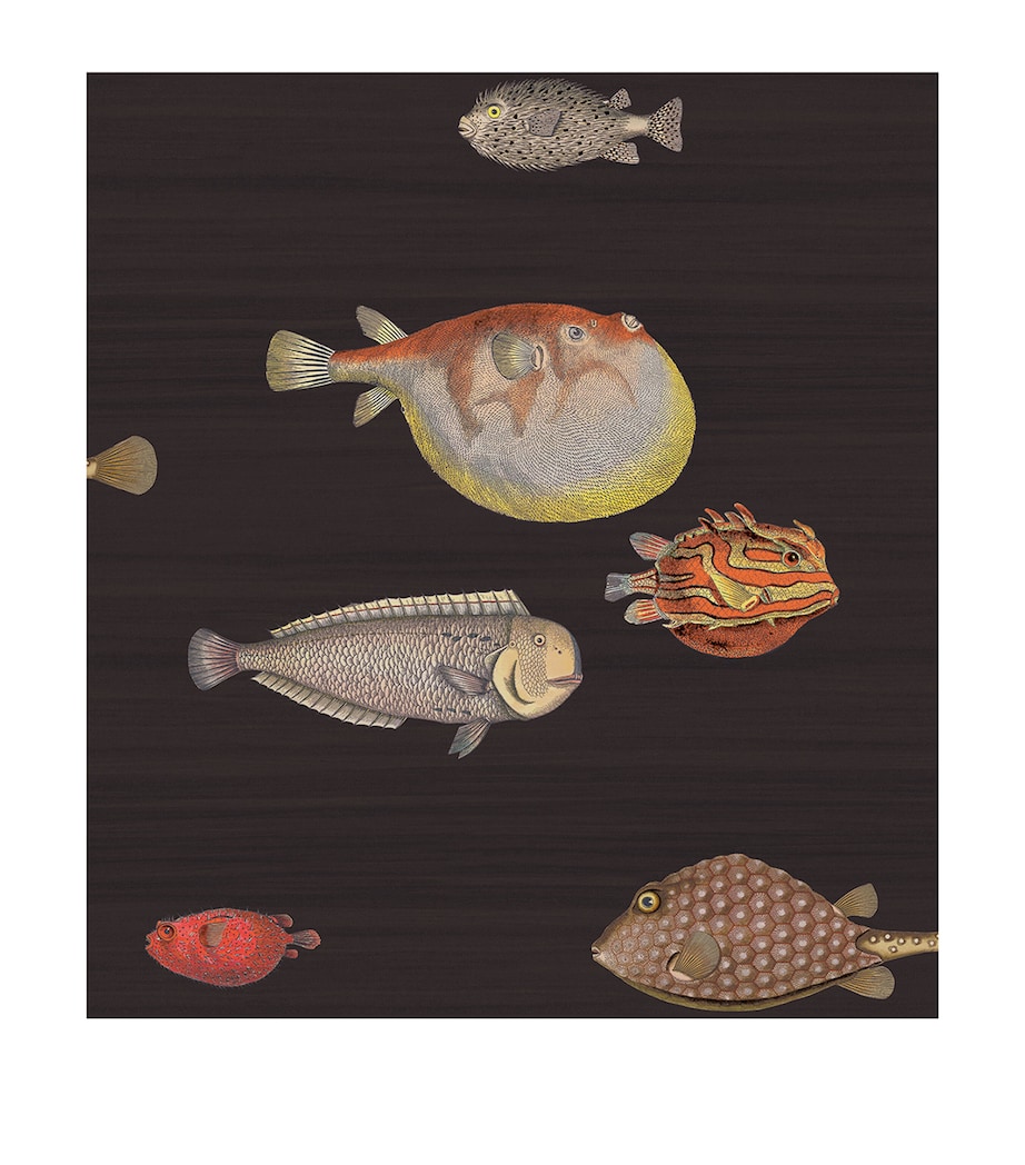 Cole & Son x Fornasetti Acquario Wallpaper Roll Charcoal Image 1