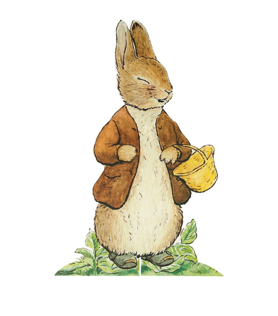 Peter Rabbit Egg Hunt Kit MULTI Image 8