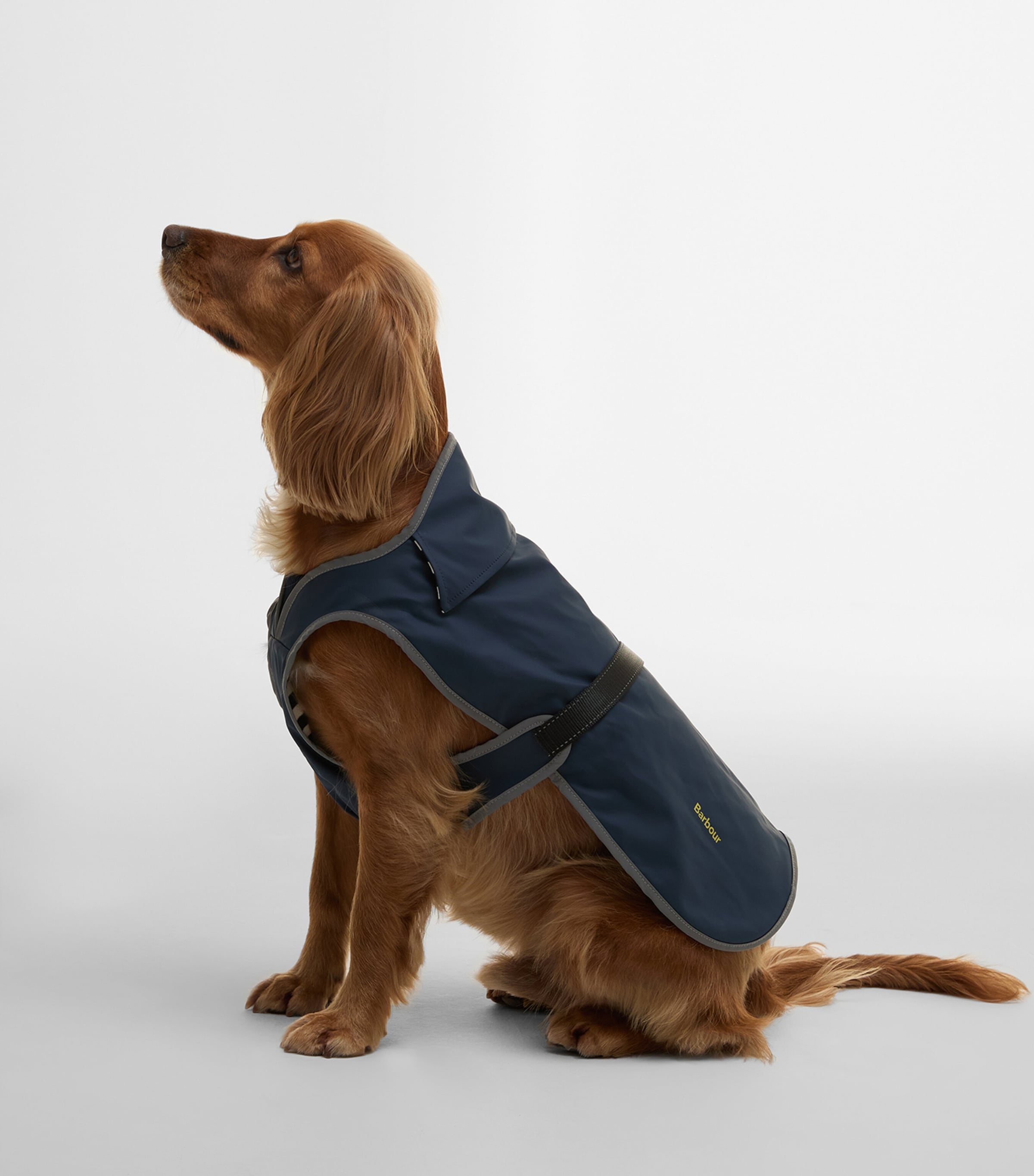 Barbour Waterproof Evie Dog Coat (Small) Navy Image 2