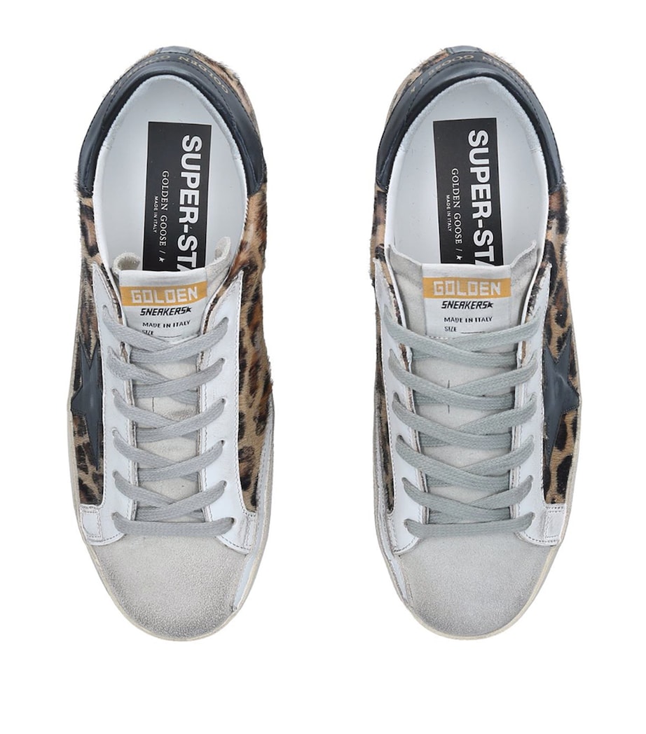 Leather Leopard Print Superstar Sneakers DK.BRN COM Image 4