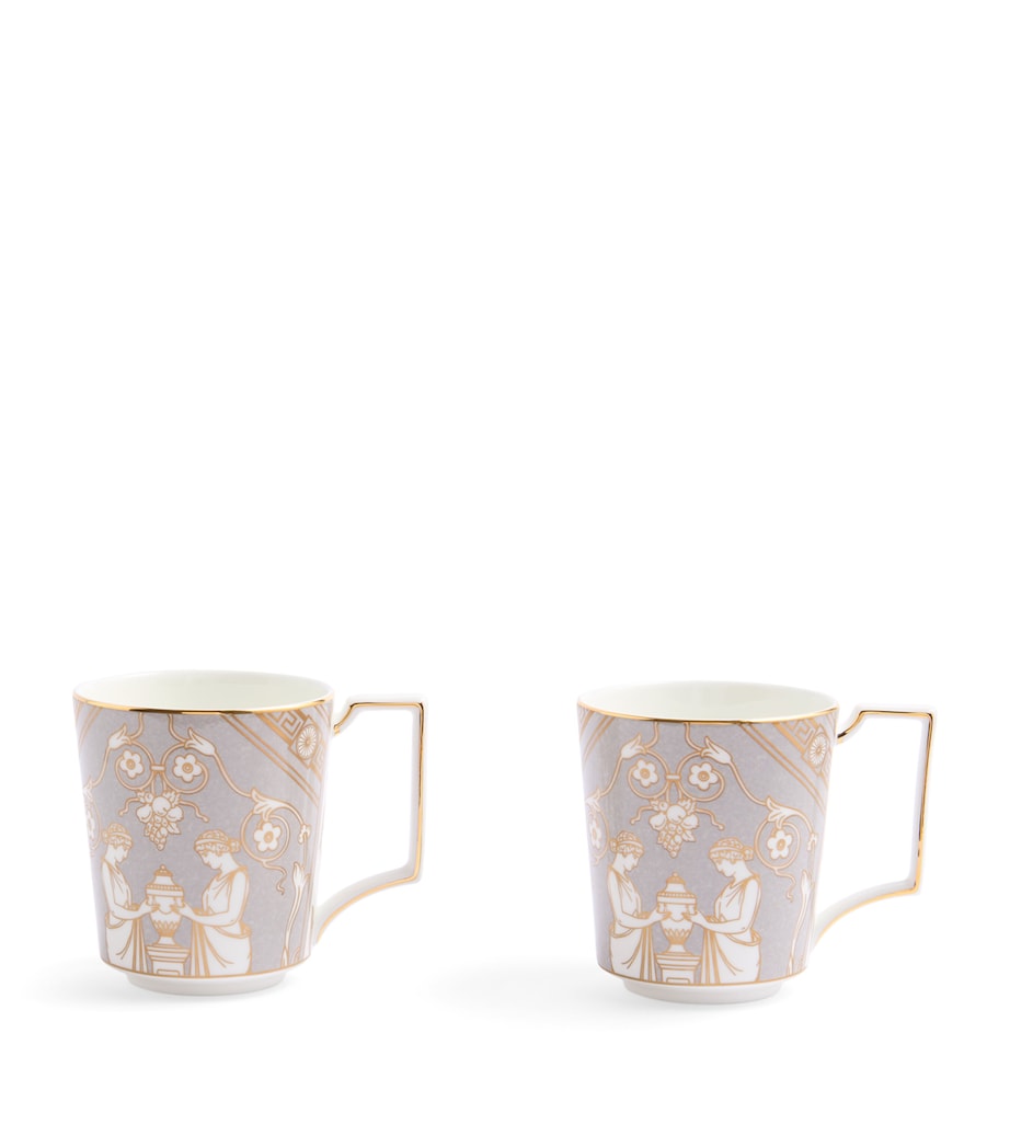 Set of 2 Renaissance Mugs (300ml) GREY Image 1