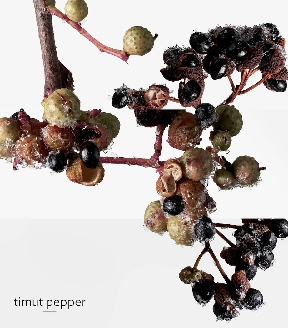 Terre d’Hermès Eau Givrée Eau de Parfum (100ml) NO COLOUR Image 7