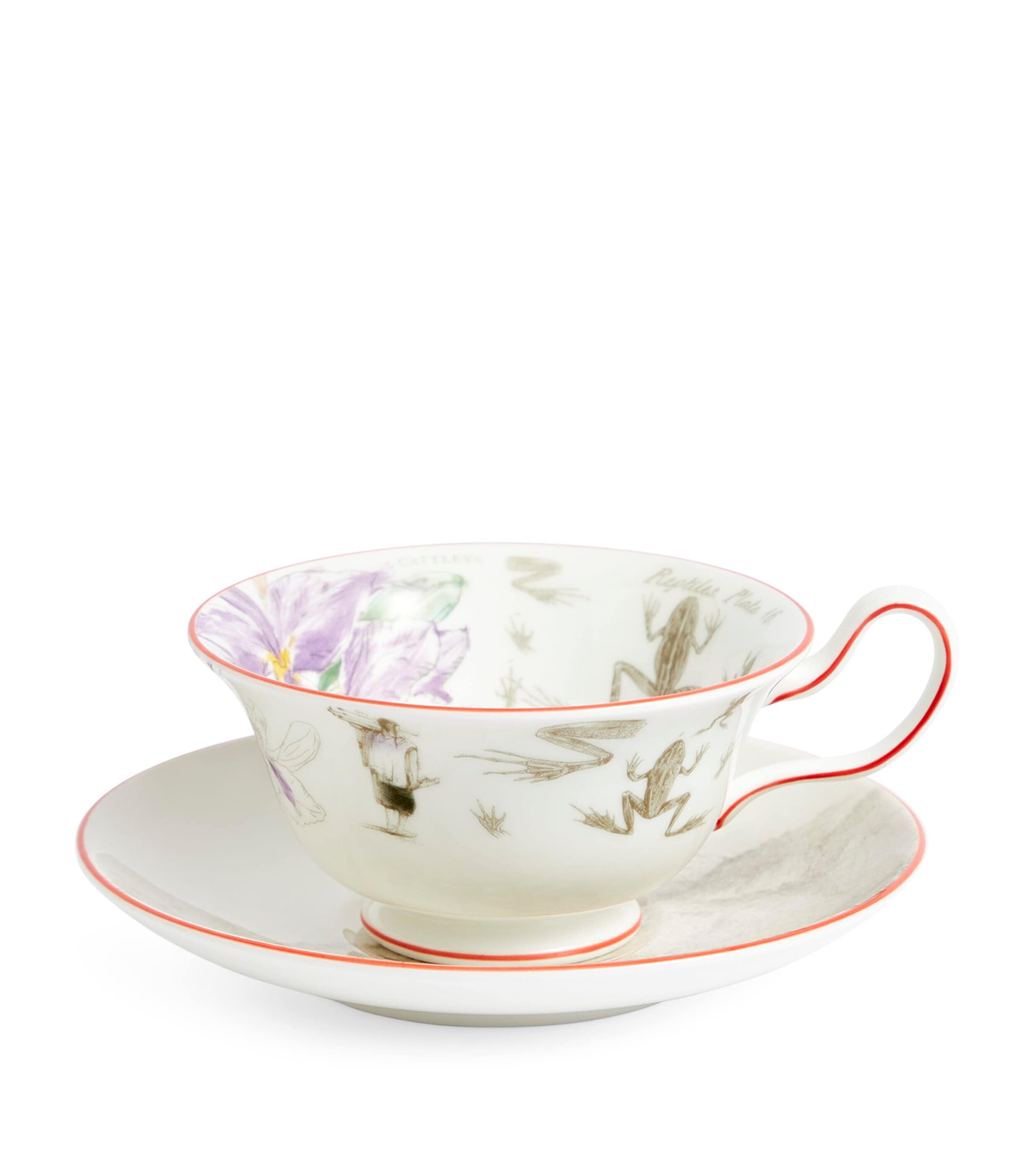 Wedgwood Voyage of the Beagle Brazil Plate, Teacup and Saucer Set Image 3
