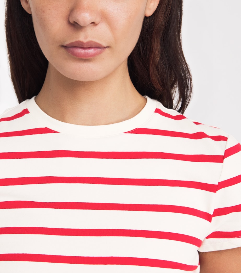 Super-Stretch Baby T-Shirt ECRU & CHILI STRIPE Image 6
