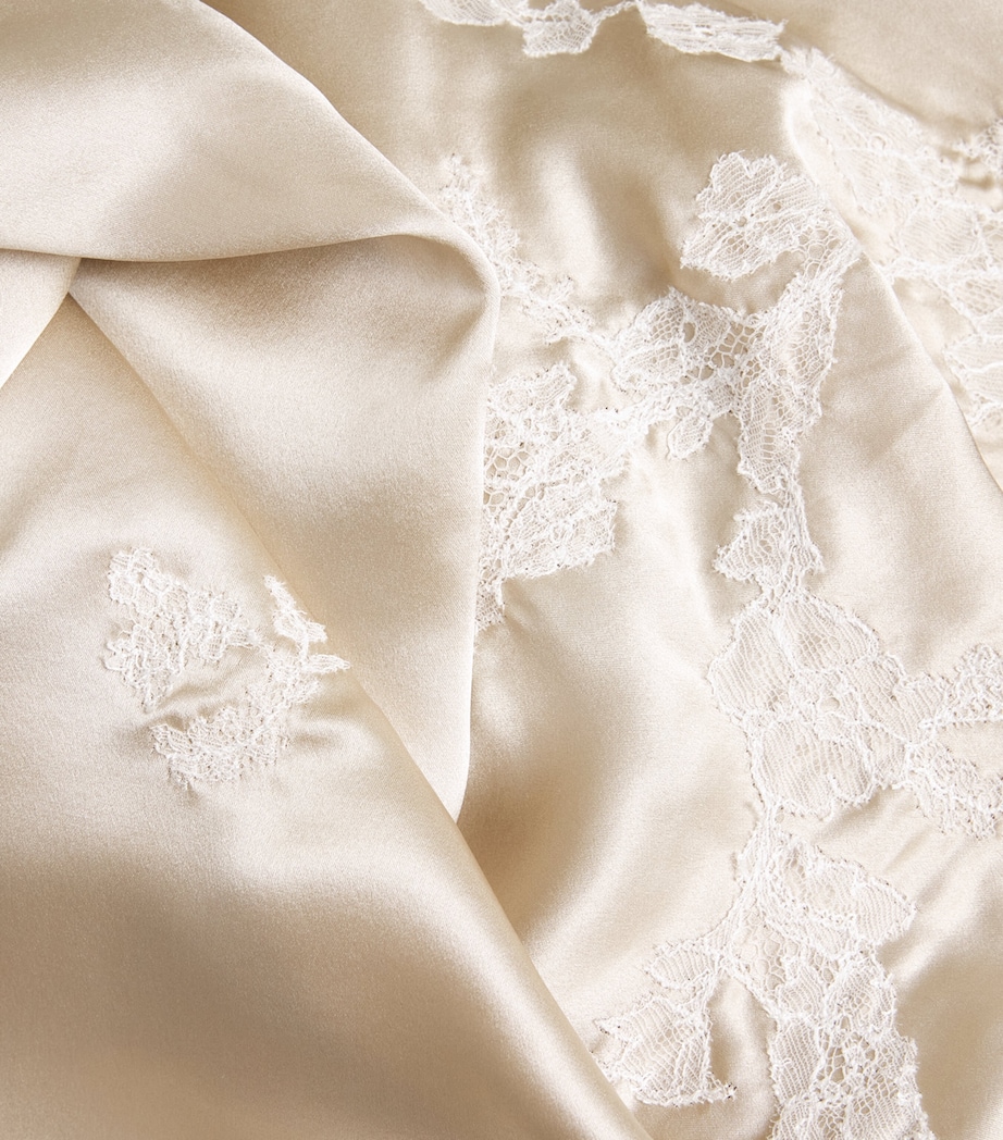 Silk Lace Patsy Nightdress OYSTER/WHITE Image 5