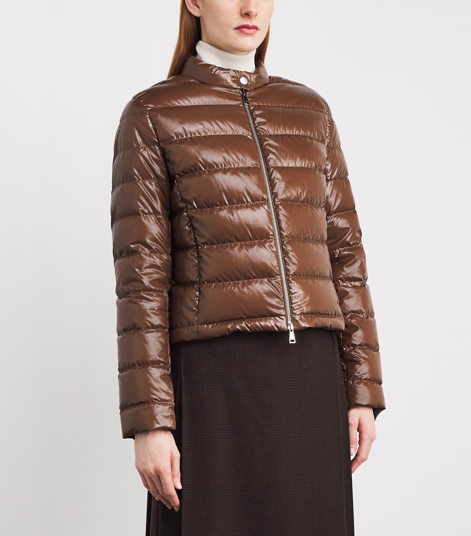 Down Papillon Puffer Jacket 24N Image 3