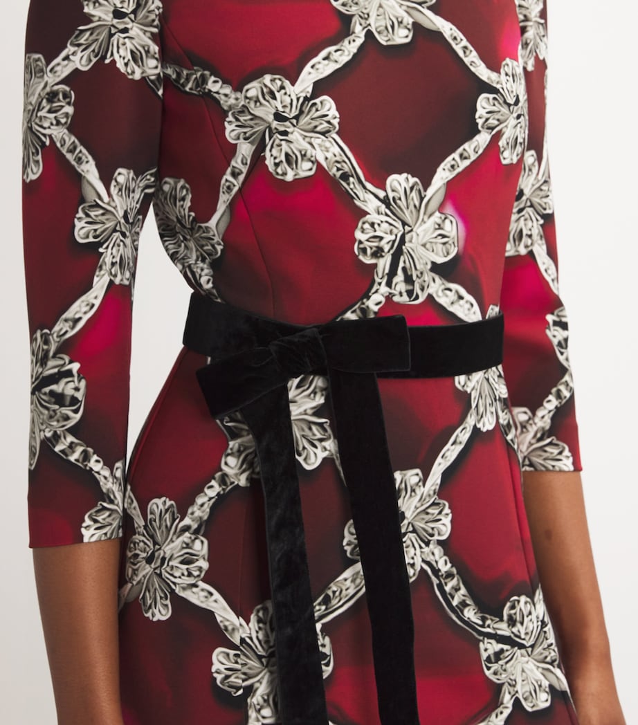 Chantal Maxi Dress PLEXUS RUBY PRINT Image 6