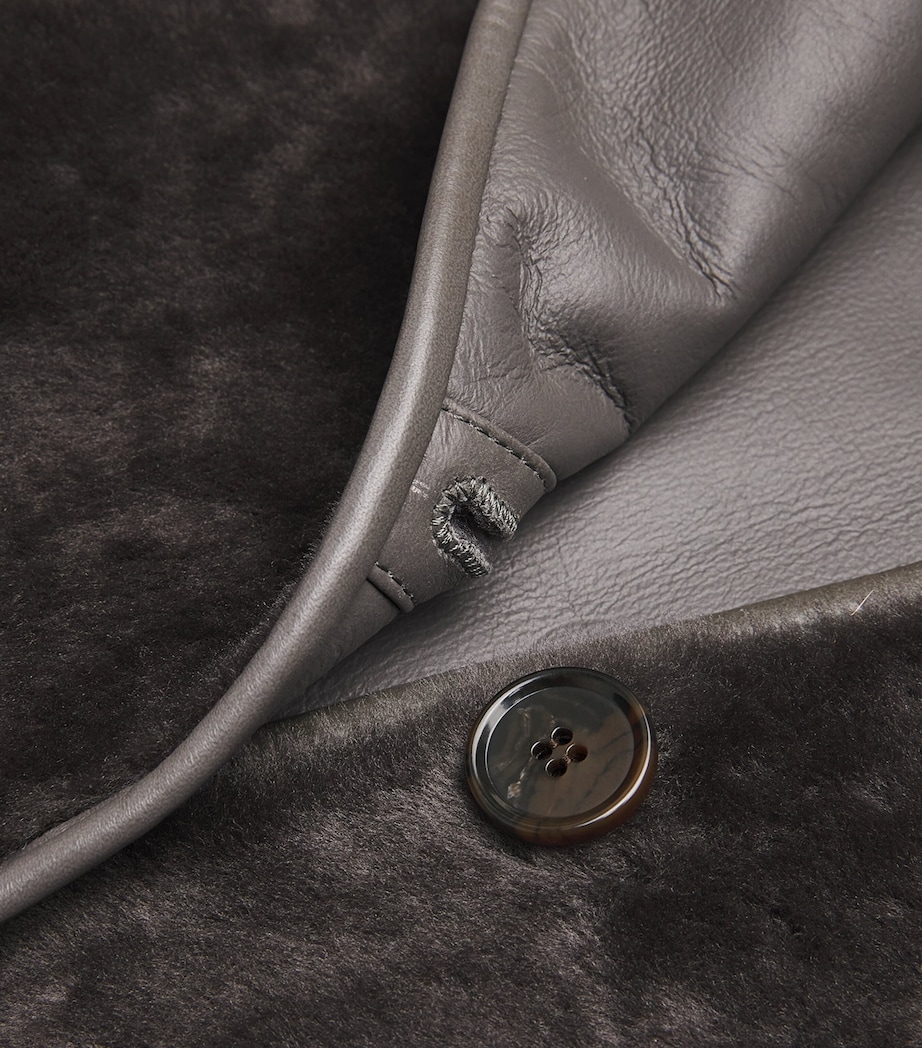 Shearling-Lambskin Reversible Lucine Jacket SOIL Image 5