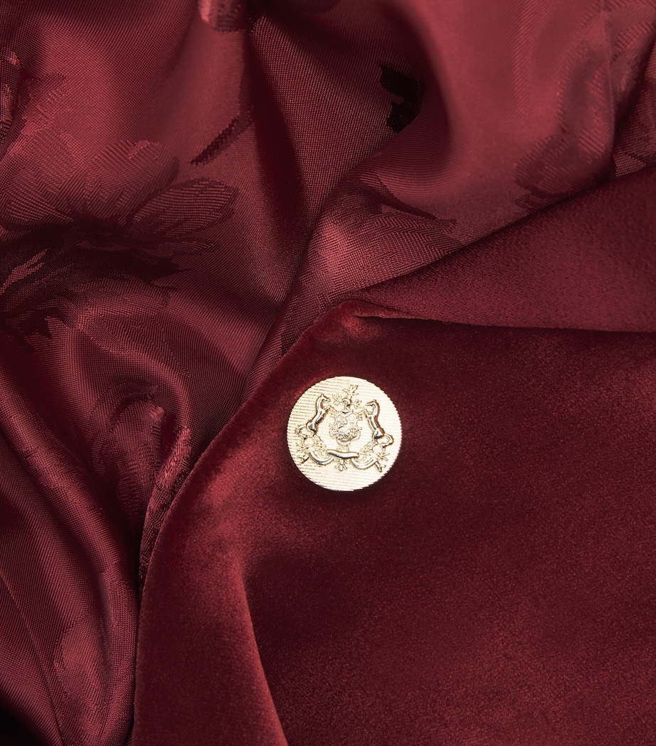 Velvet Silas Blazer I606 OXBLOOD Image 5