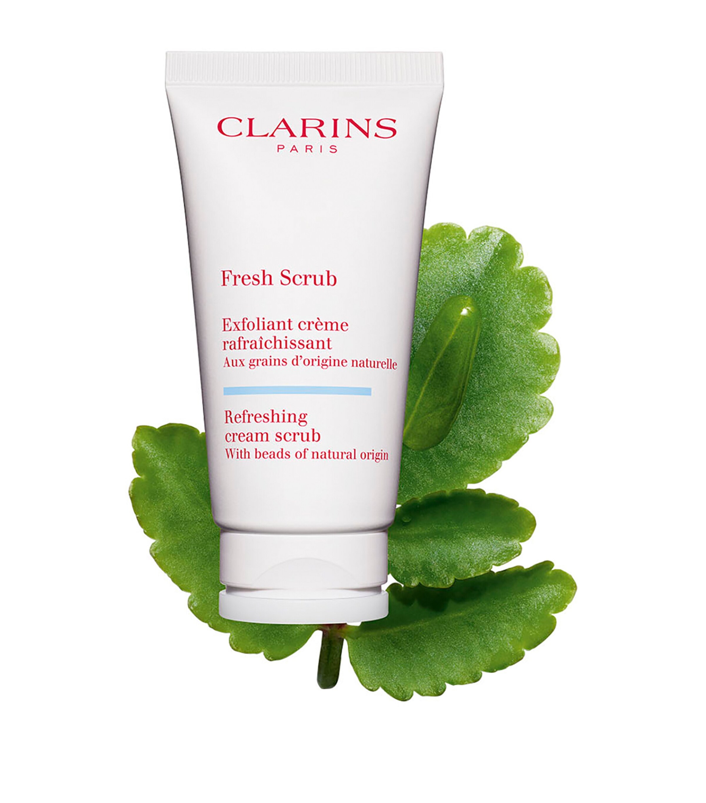 Fresh Scrub (50ml) NO COLOUR Image 2