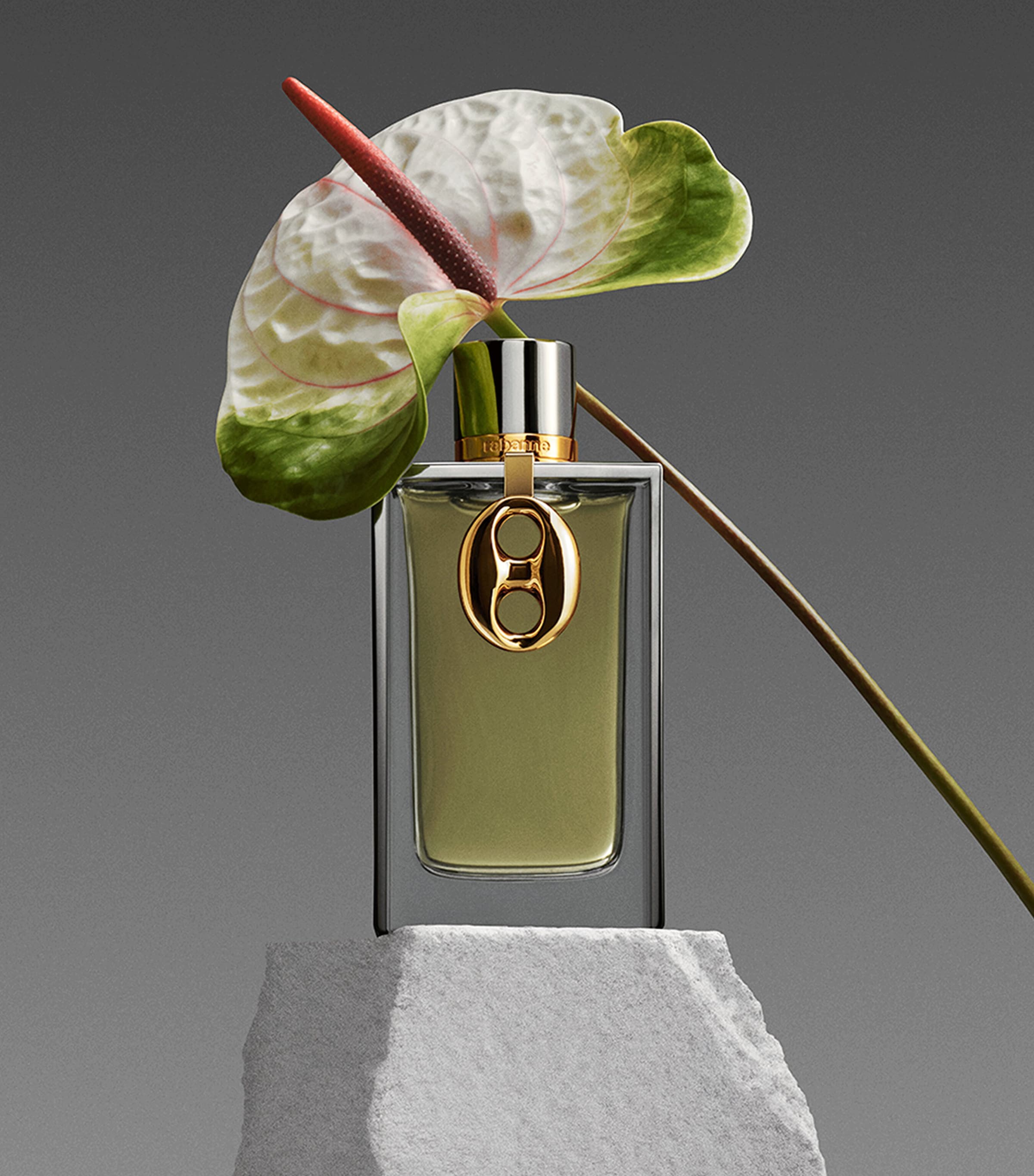 Rabanne Mesh Metal Eau de Parfum (125ml) Image 3