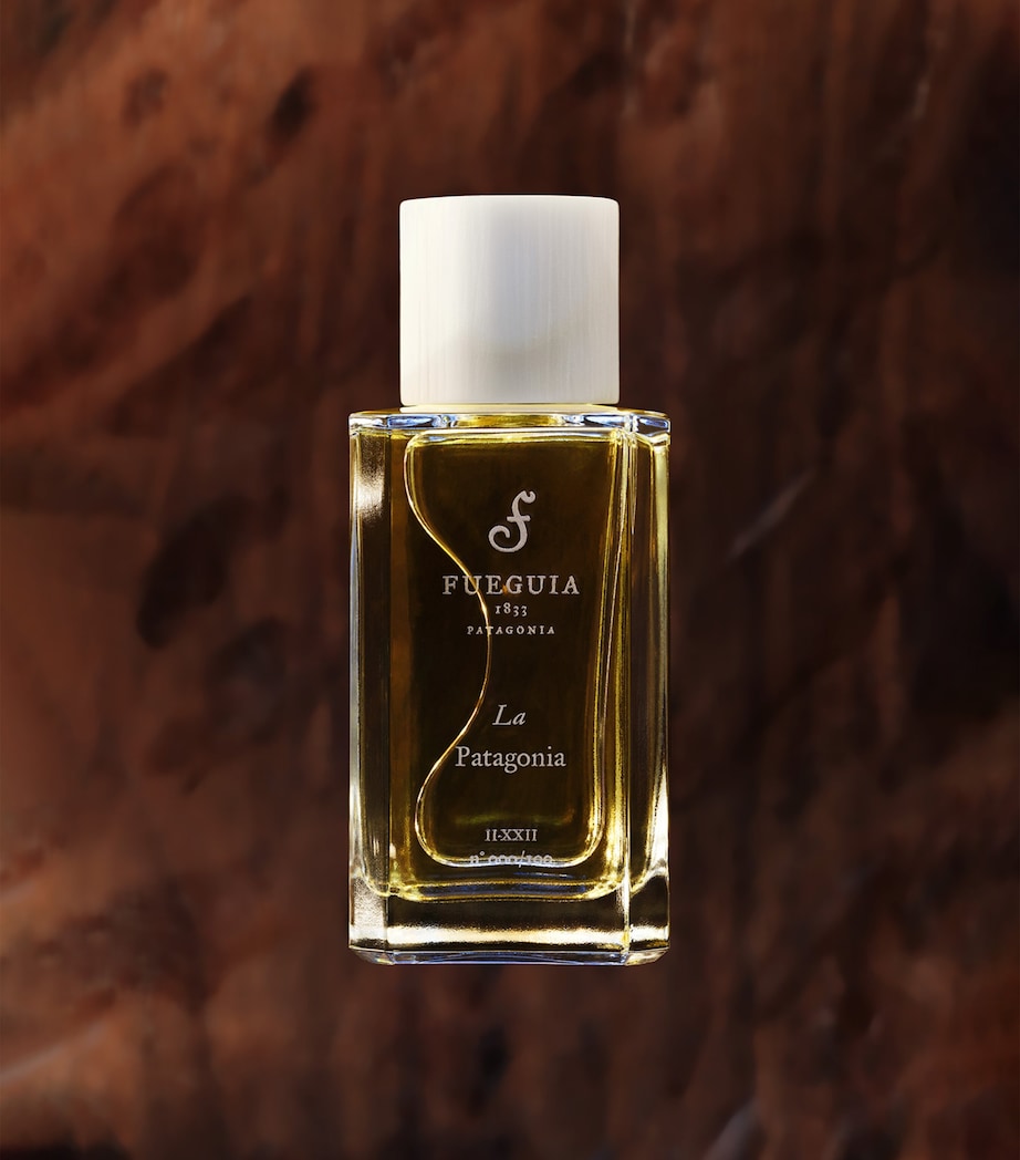 Fueguia 1833 Oud Patagonia Perfume (100ml) Image 2