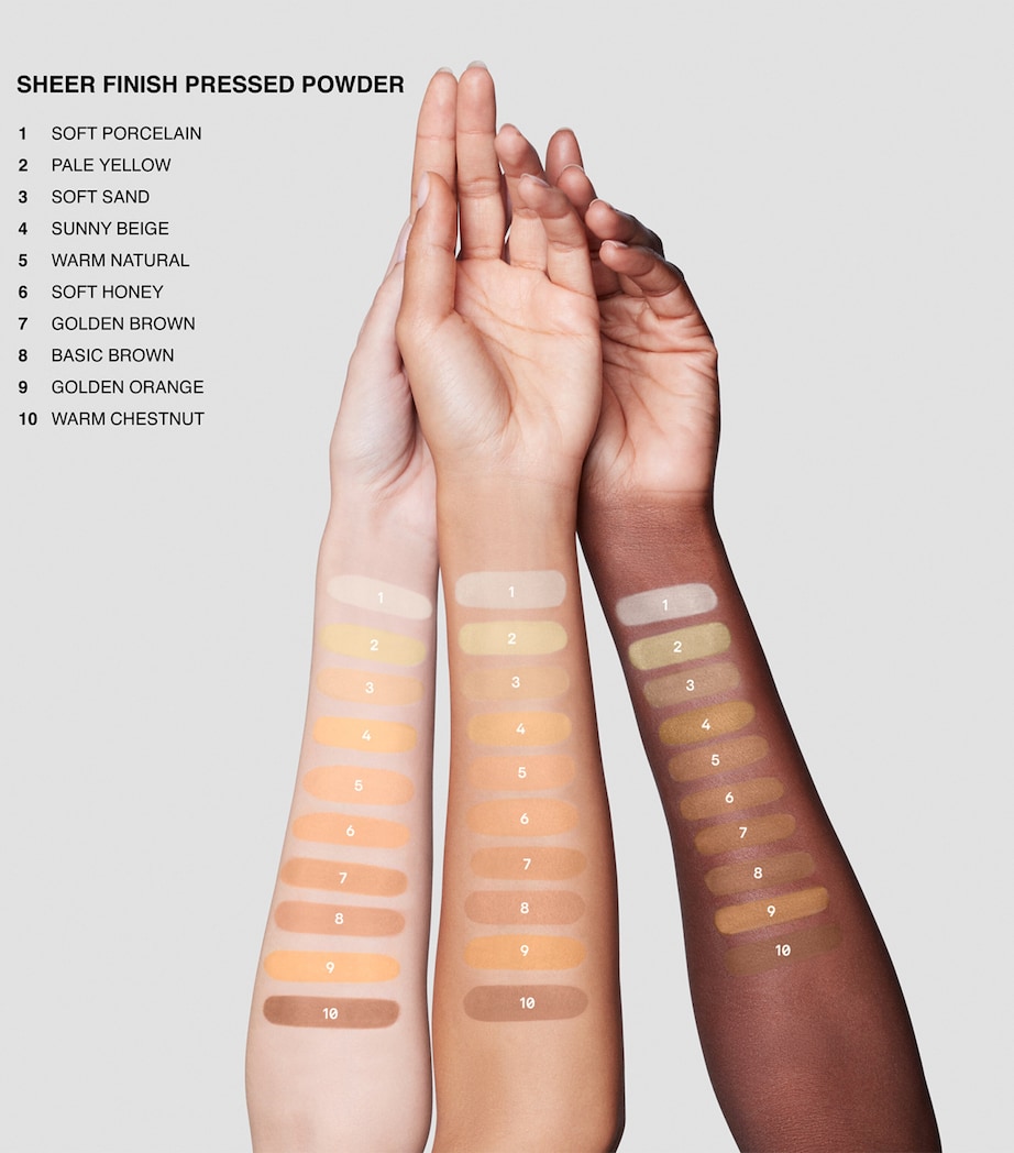 Sheer Finish Pressed Powder BASIC BROWN Image 4