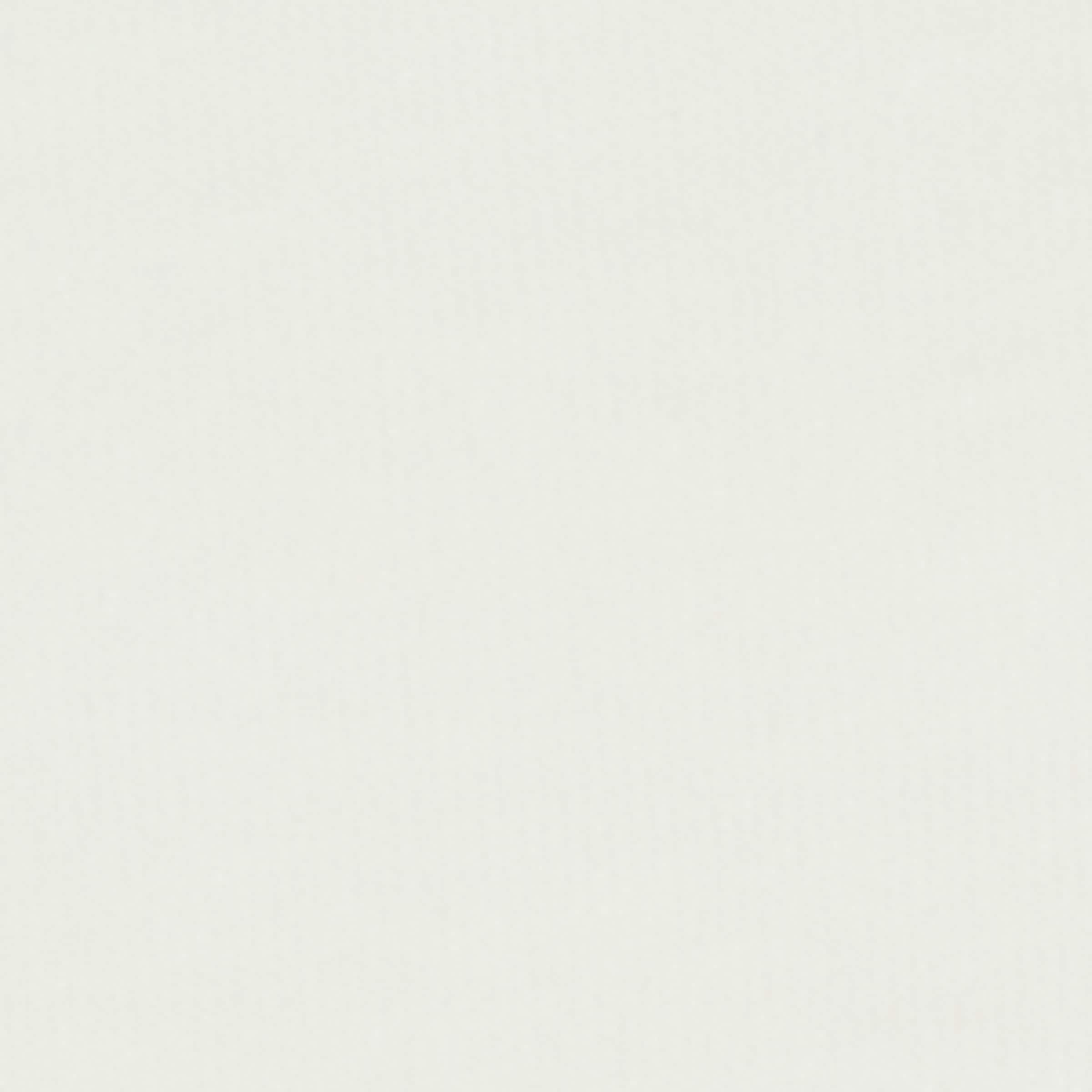 Cotton Logo T-Shirt (2-14 Years) OFFWHITE Image 3