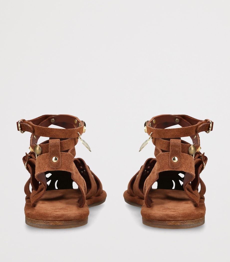 Ancient Greek Sandals Suede Karina Sandals Rust Image 2