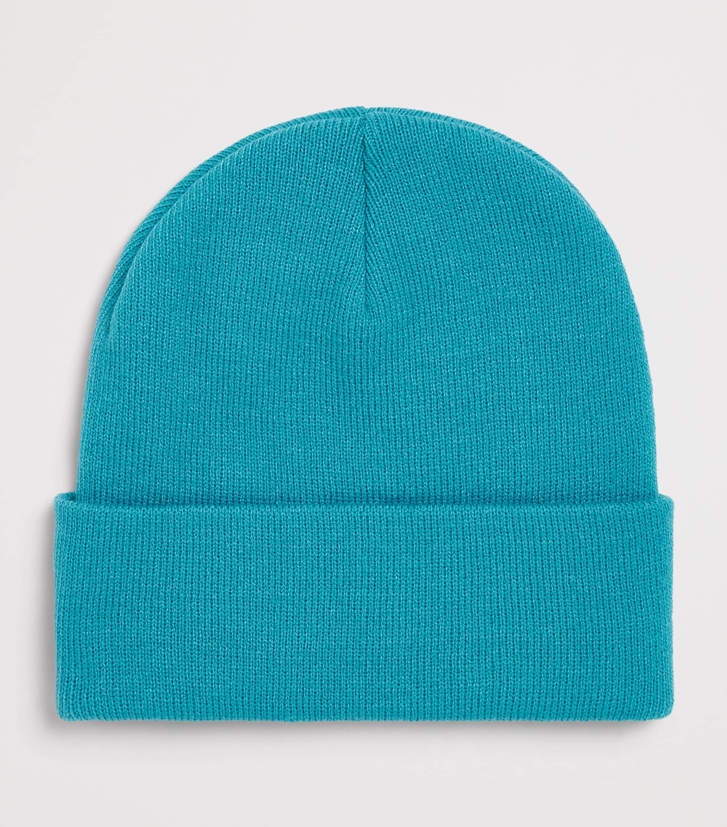 Roarsome Logo-Patch Beanie Blue Image 2