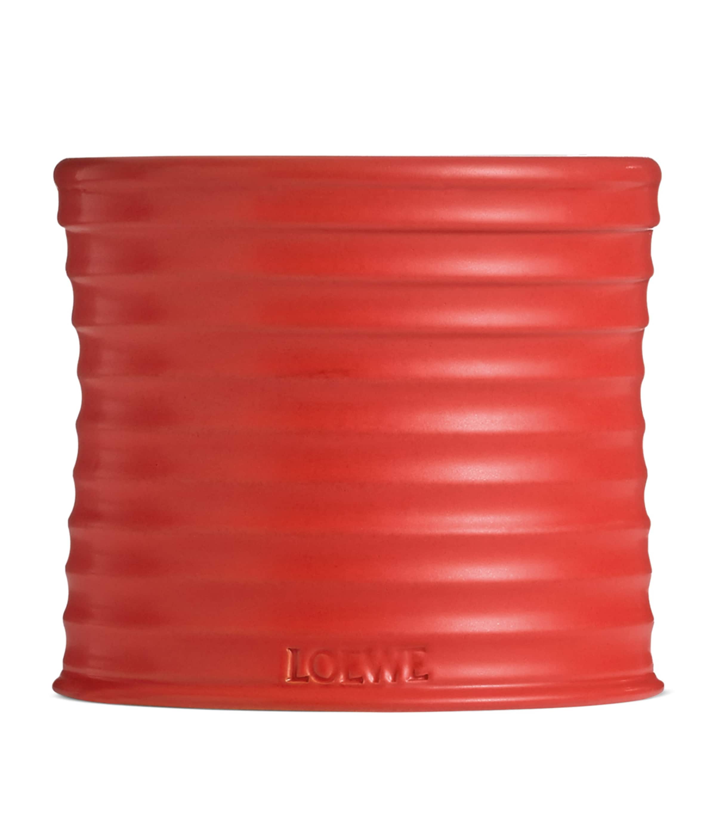 Loewe Medium Tomato Leaves Candle