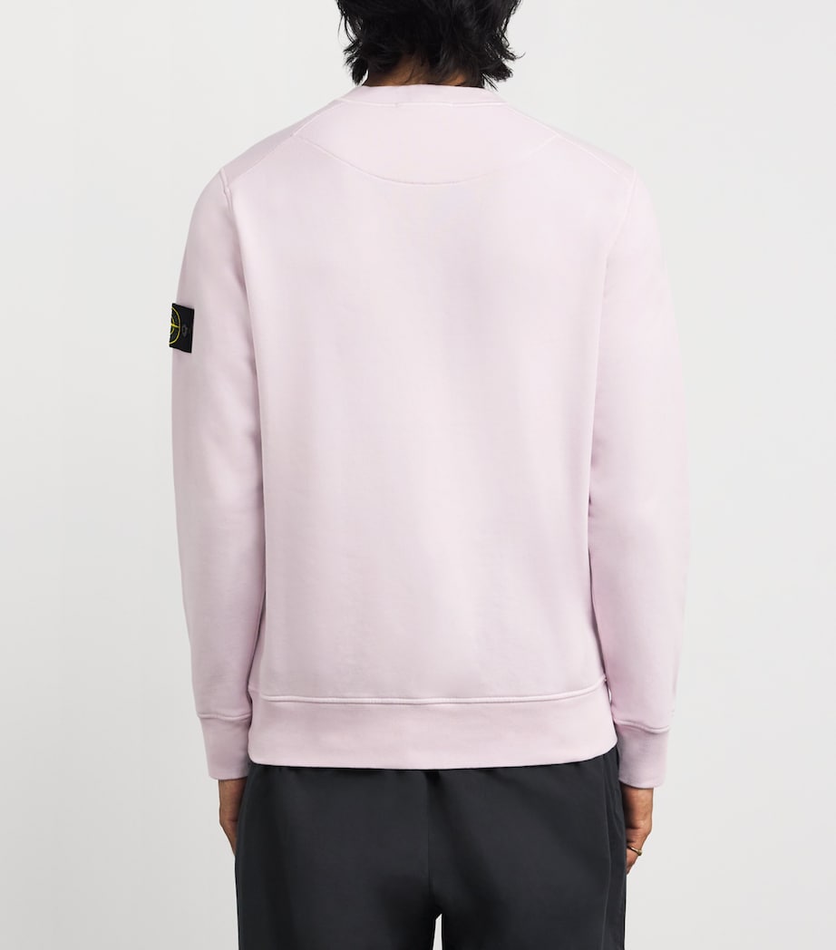 Cotton Compass Logo Sweatshirt V0080 Image 4