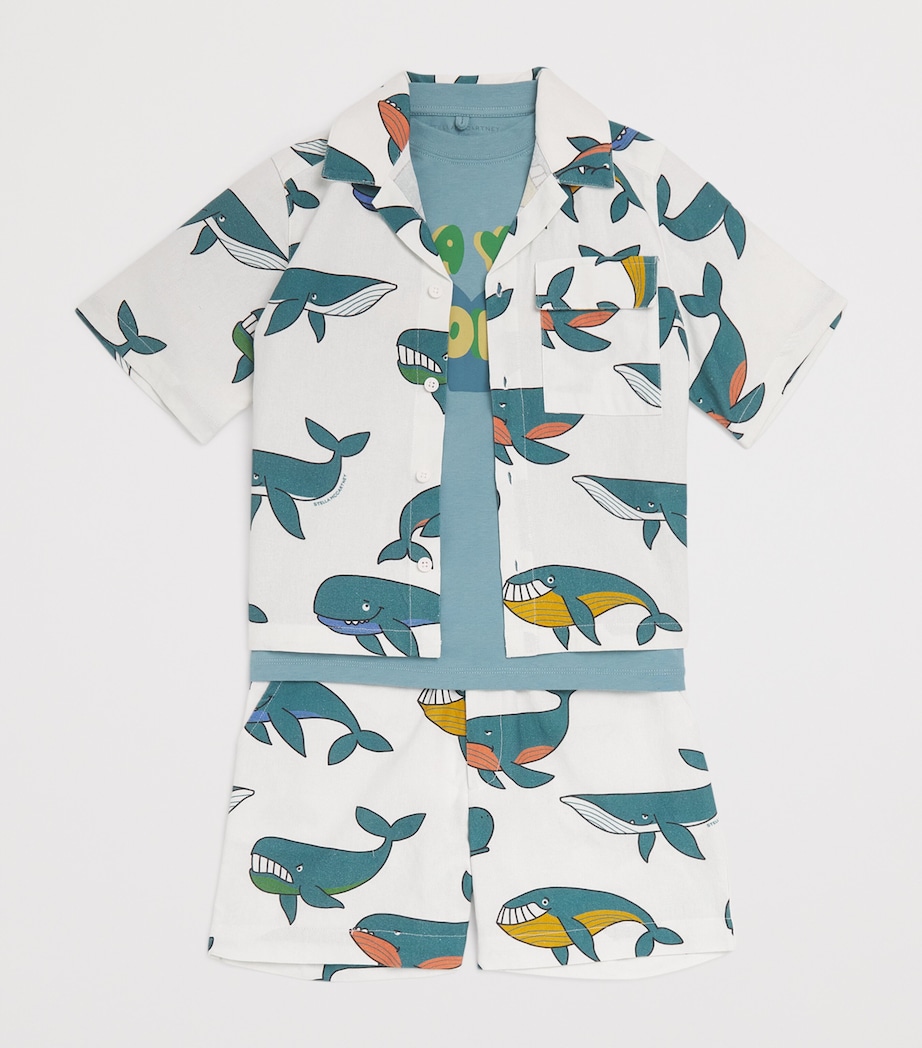 Cotton Sea You Around T-Shirt (2-14 Years) 642AIR FORCE BLUE Image 3