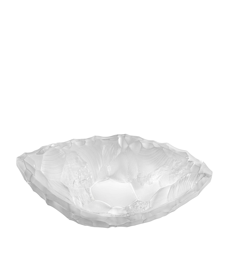 Small Crystal Silex Bowl (22cm) INCOLORE Image 1