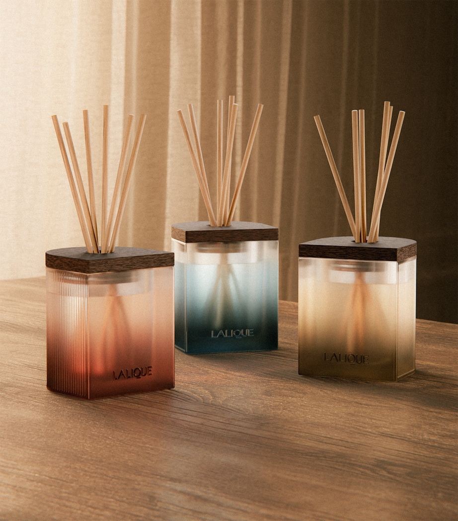 Lalique La Demeure Diffuser (250ml) Image 3