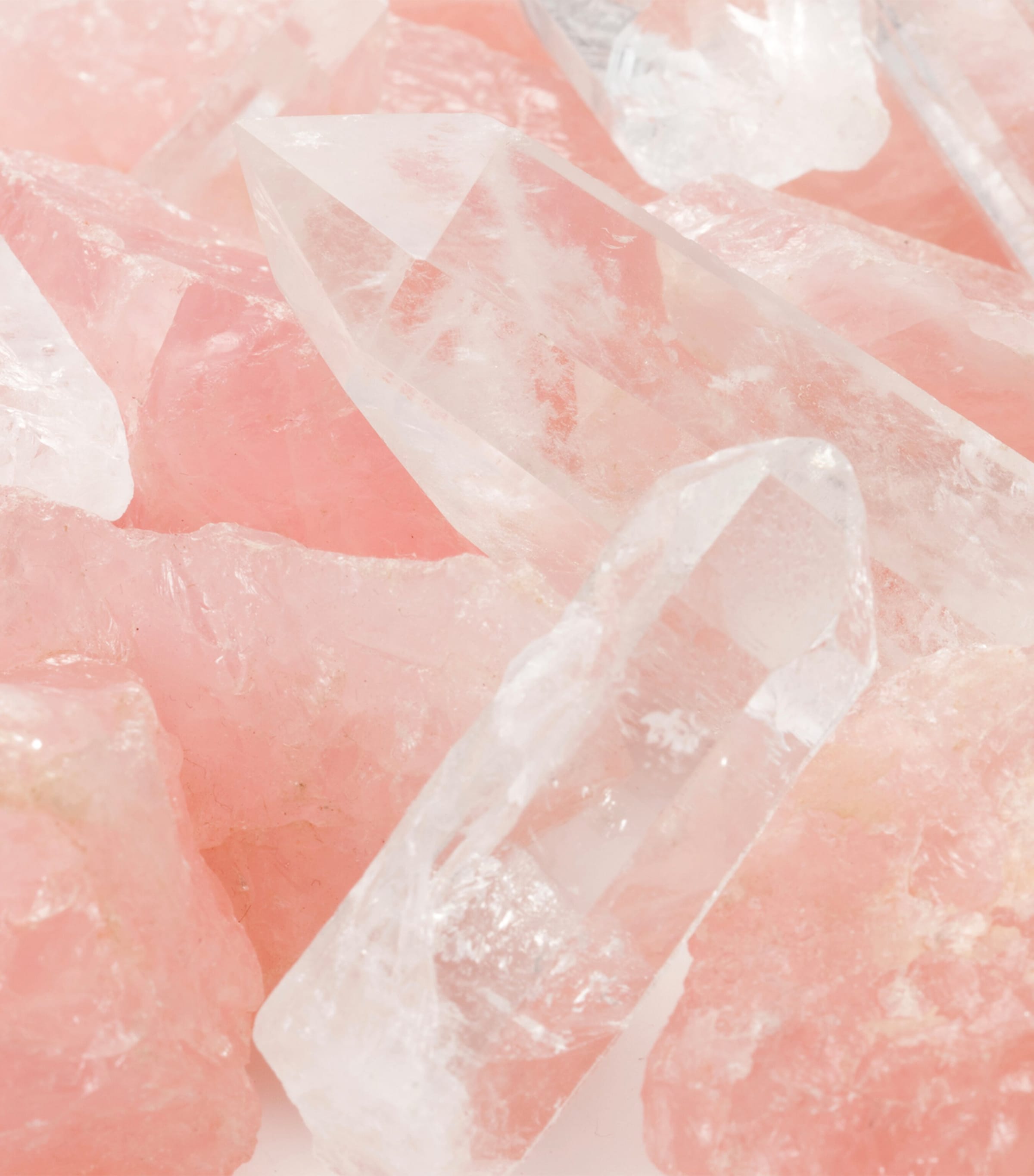 Rose Saltifolia Eau de Parfum (100ml) NO COLOUR Image 8