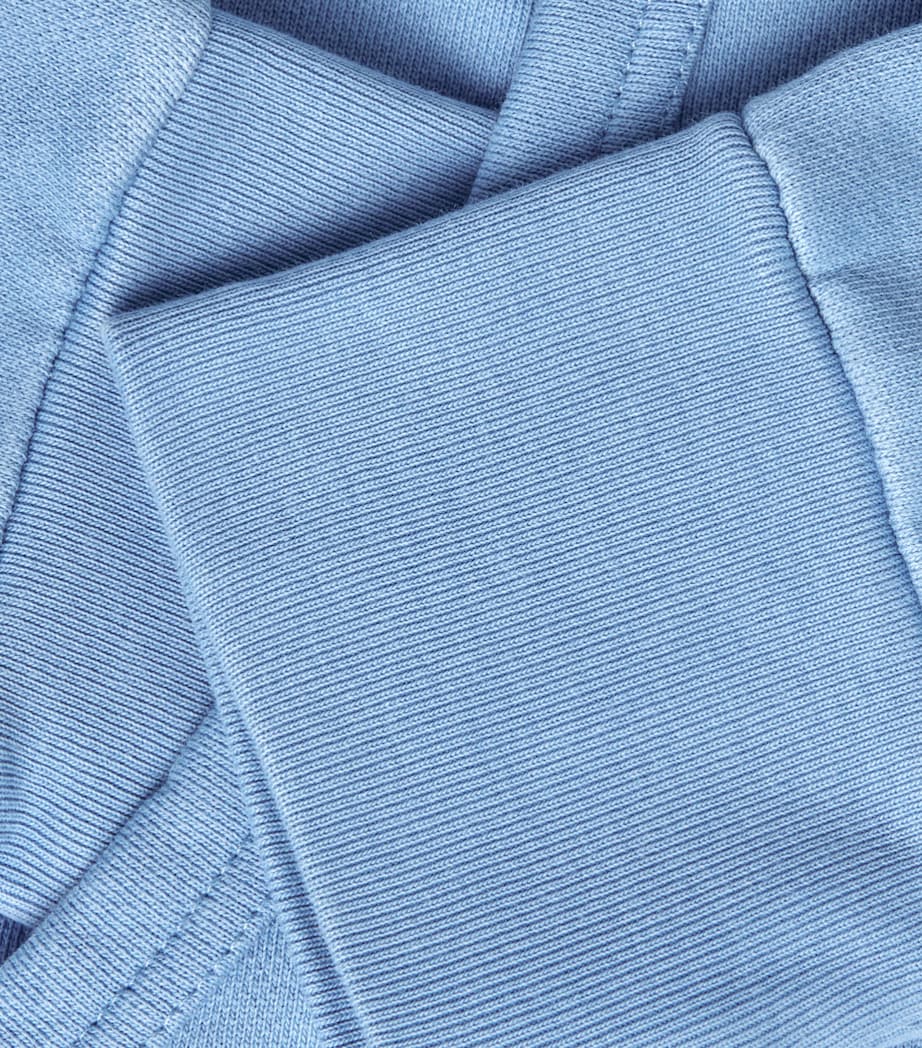 Polo Ralph Lauren Mens Cotton Loopback Fleece Polo Pony Hoodie Bristol Blue Image 6