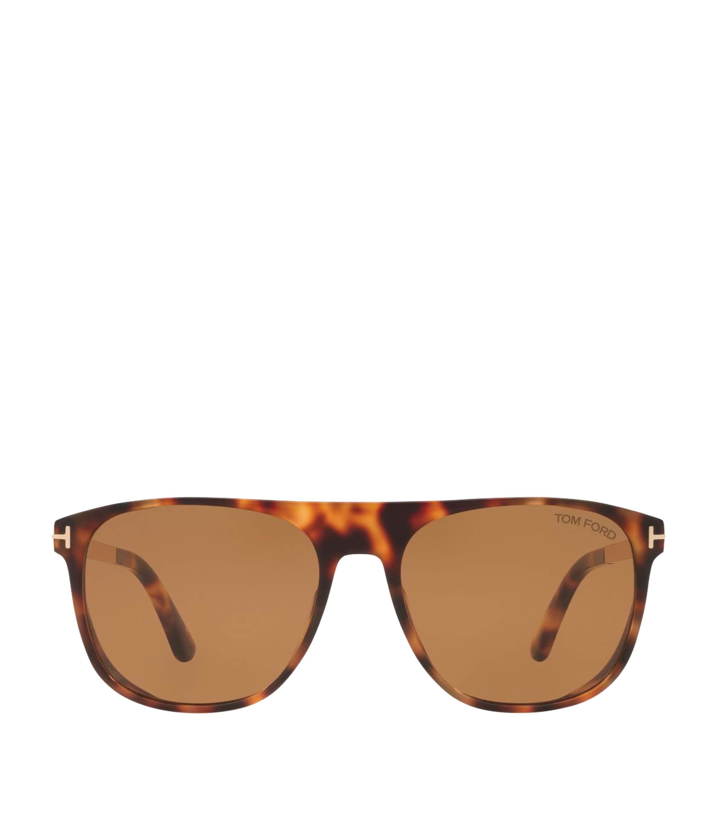 Tom Ford Acetate Lionel-02 Sunglasses In Brown