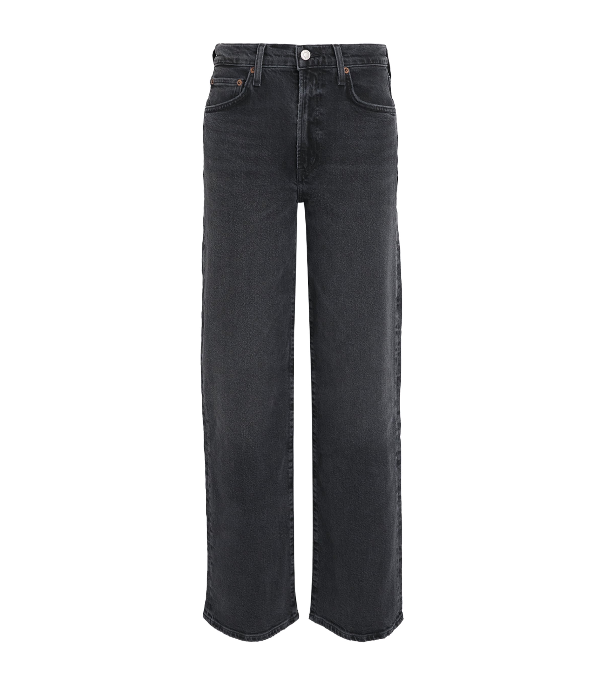 Agolde Panoramic Wild Straight-leg-jeans In Black
