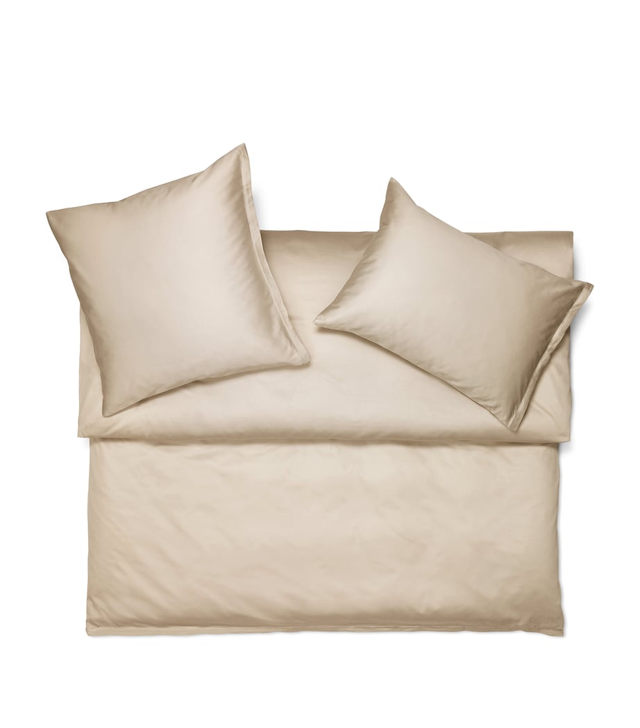Schlossberg Cotton Sateen Noblesse Uni King Fitted Sheet (150cm x 200cm) Canne Image 1