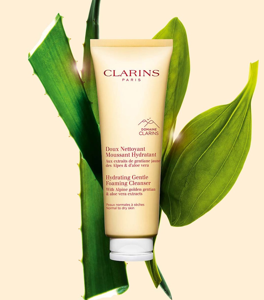 Clarins Hydrating Gentle Foaming Cleanser (125ml) Image 2