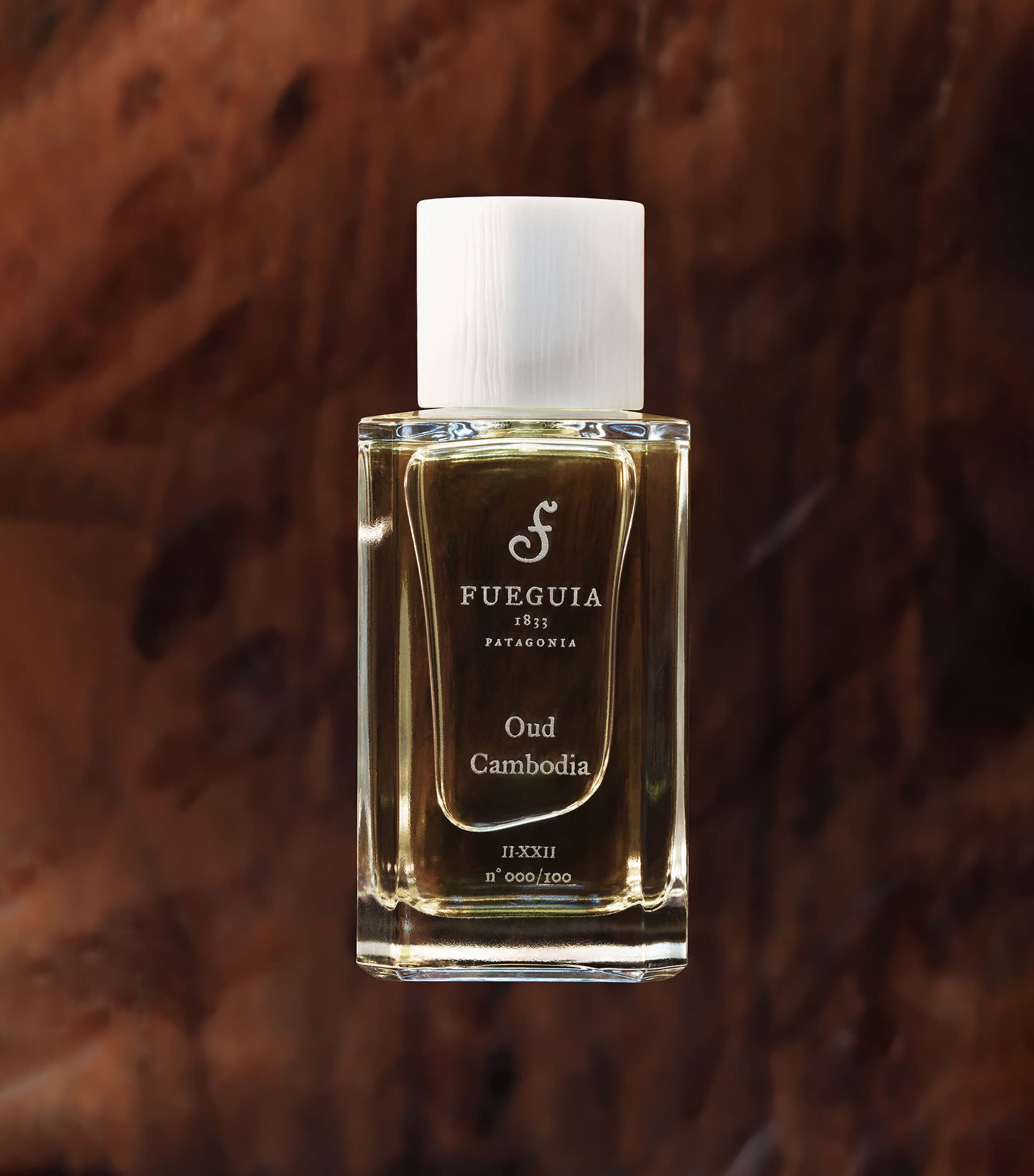 Fueguia 1833 Oud Cambodia Perfume (100ml) Image 2
