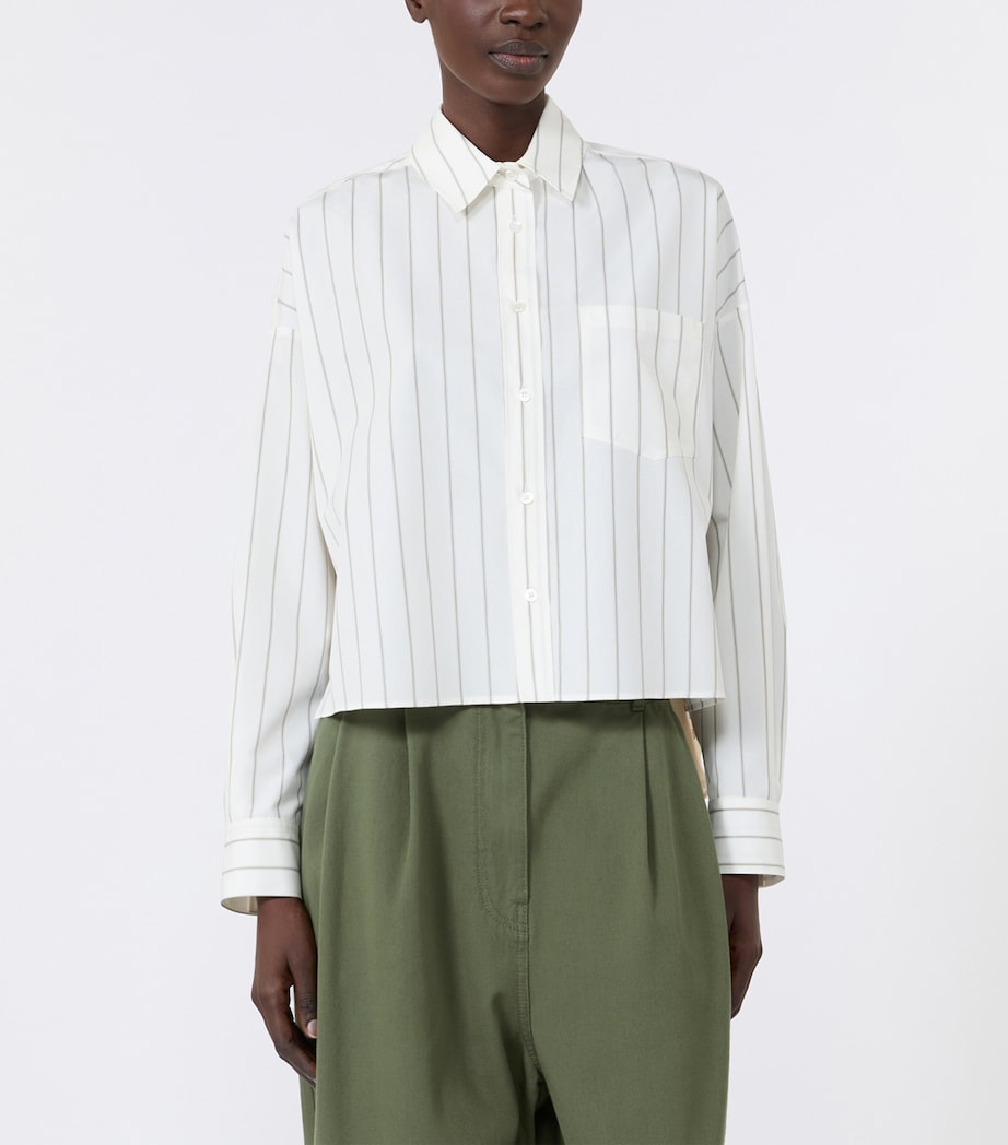 Weekend Max Mara Womens Satin-Panel Stripe Shirt Brown Image 3
