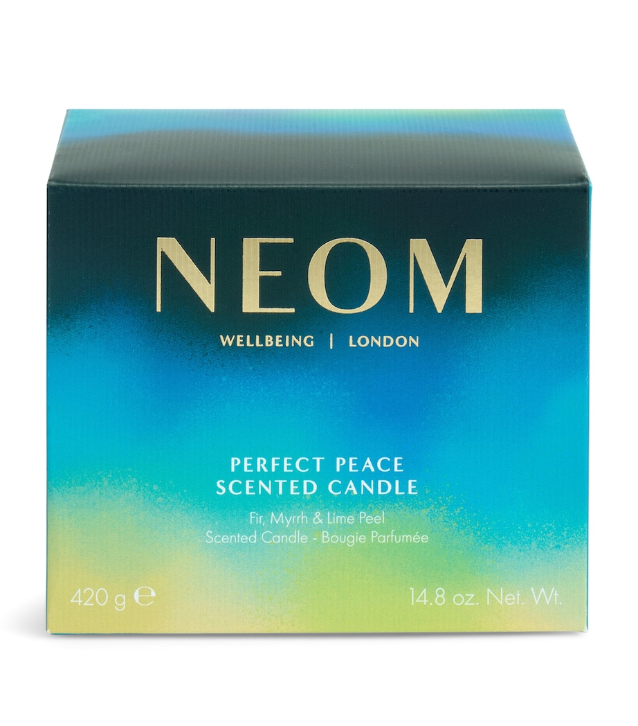 Perfect Peace Candle (420g) NO COLOUR Image 5