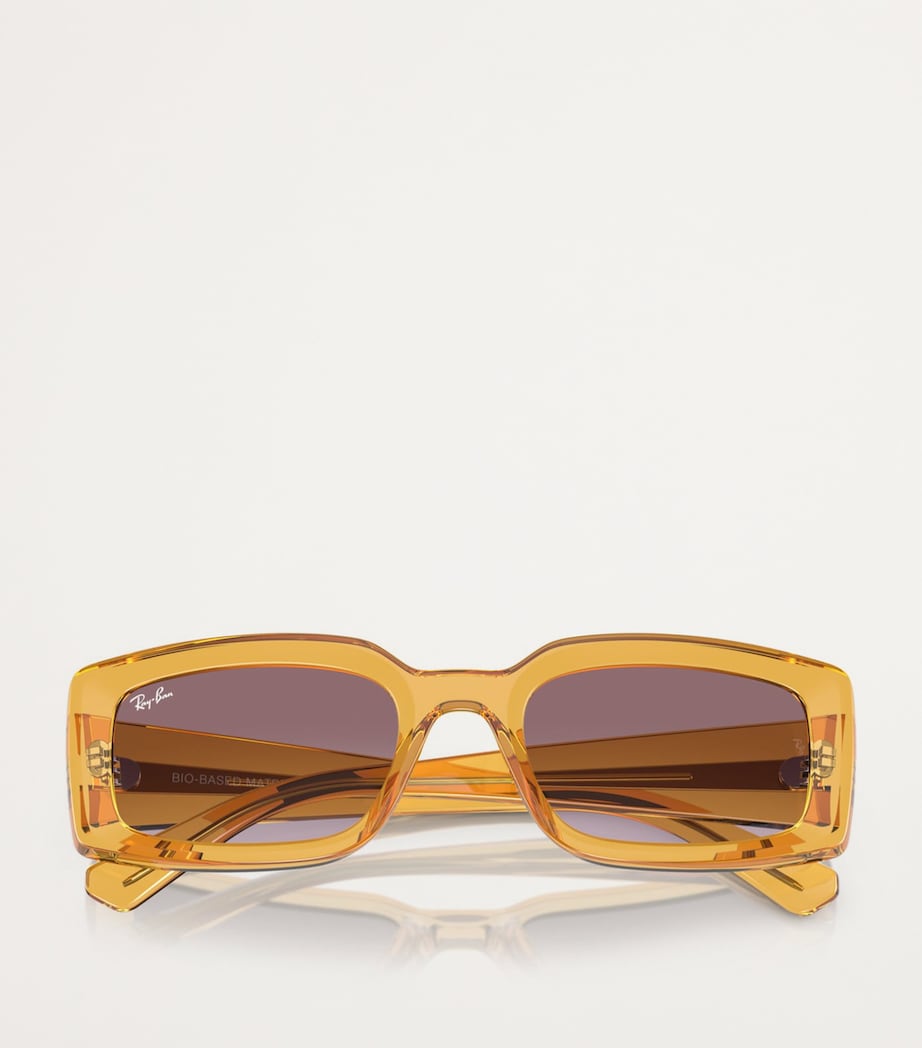 Acetate 0RB4395 Sunglasses 66828H Image 5