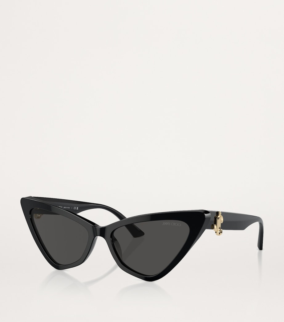 Acetate JC5008 Sunglasses 500087 Image 2