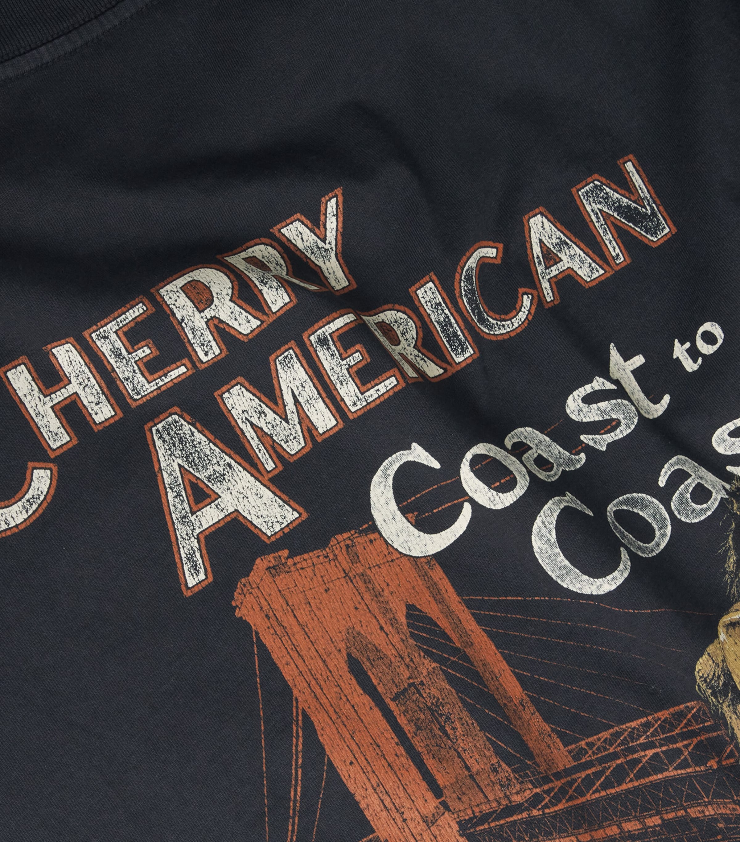 Cotton Logo Print Coast to Coast T-Shirt VINTAGE BLACK Image 5