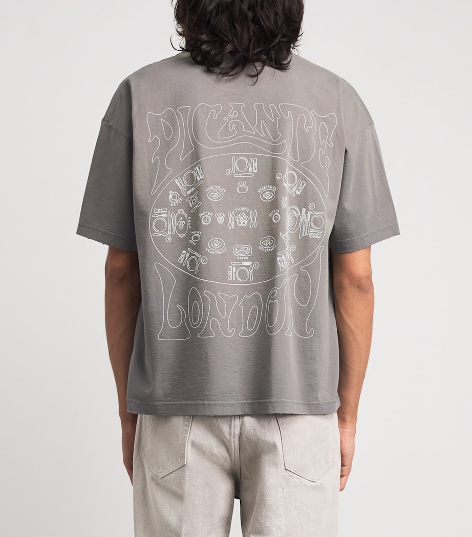 Picante Mens Organic Cotton Sacramento T-Shirt Smoke Image 5