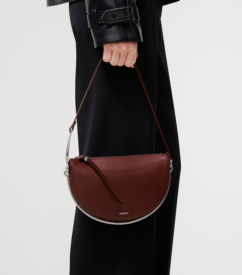 Burberry Small Bridle Saddle Bag Oxblood Red Image 3