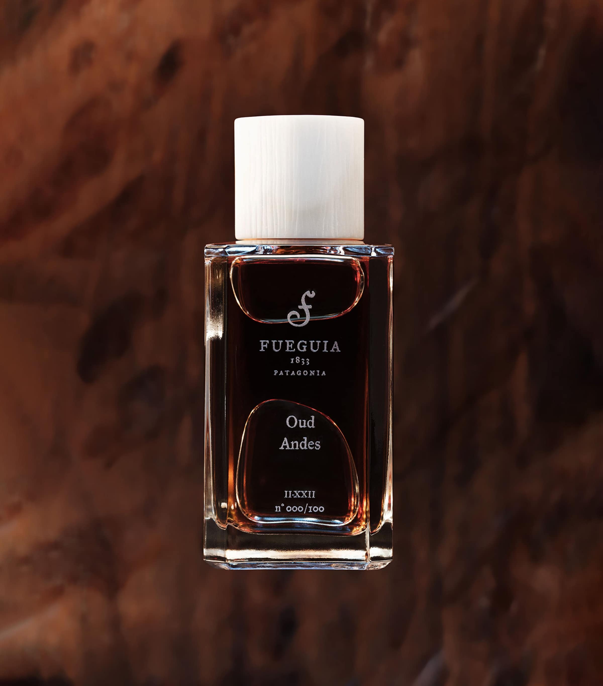 Fueguia 1833 Oud Andes Perfume (100ml) Image 2
