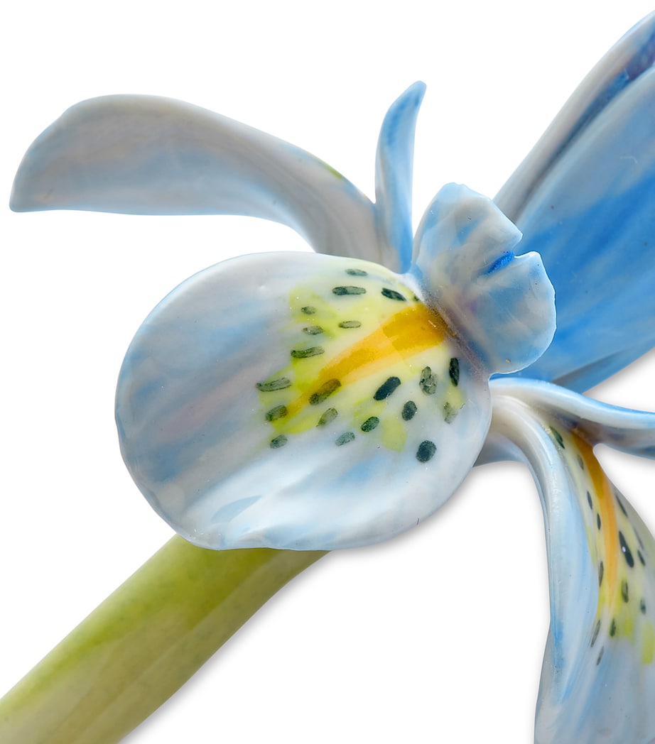 Iris Ornament BLUE Image 2
