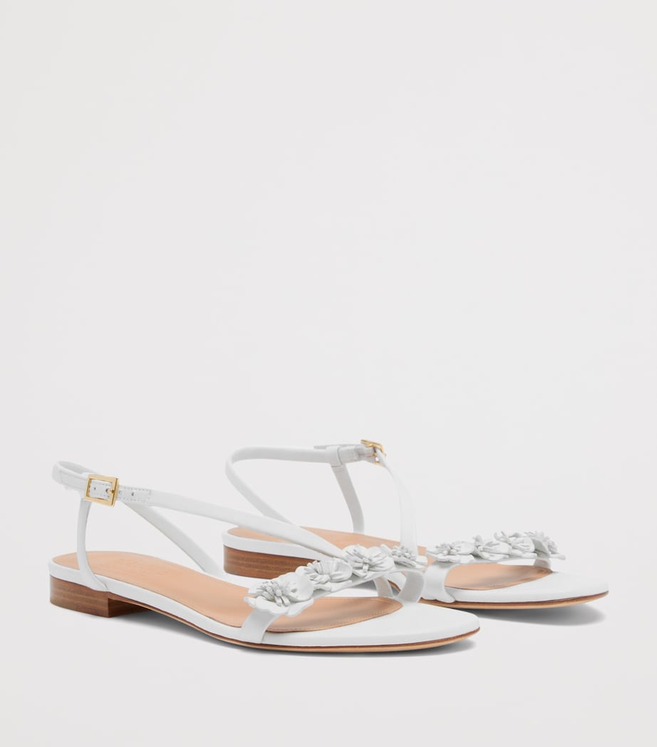 Malone Souliers Leather Flower-Embellished Serra Sandals White Image 3