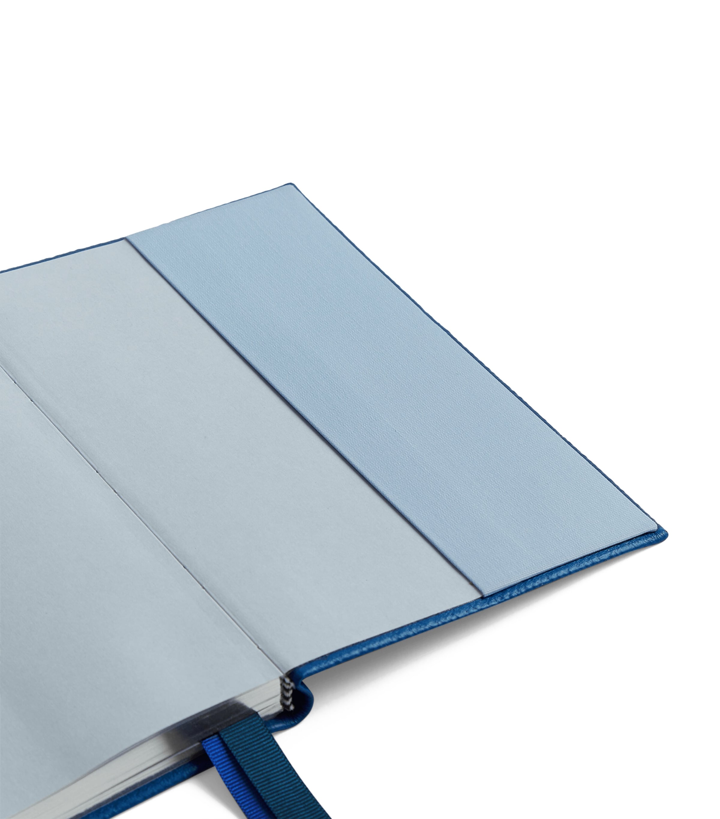 Grained Lambskin Chelsea Diary CERULEAN Image 4