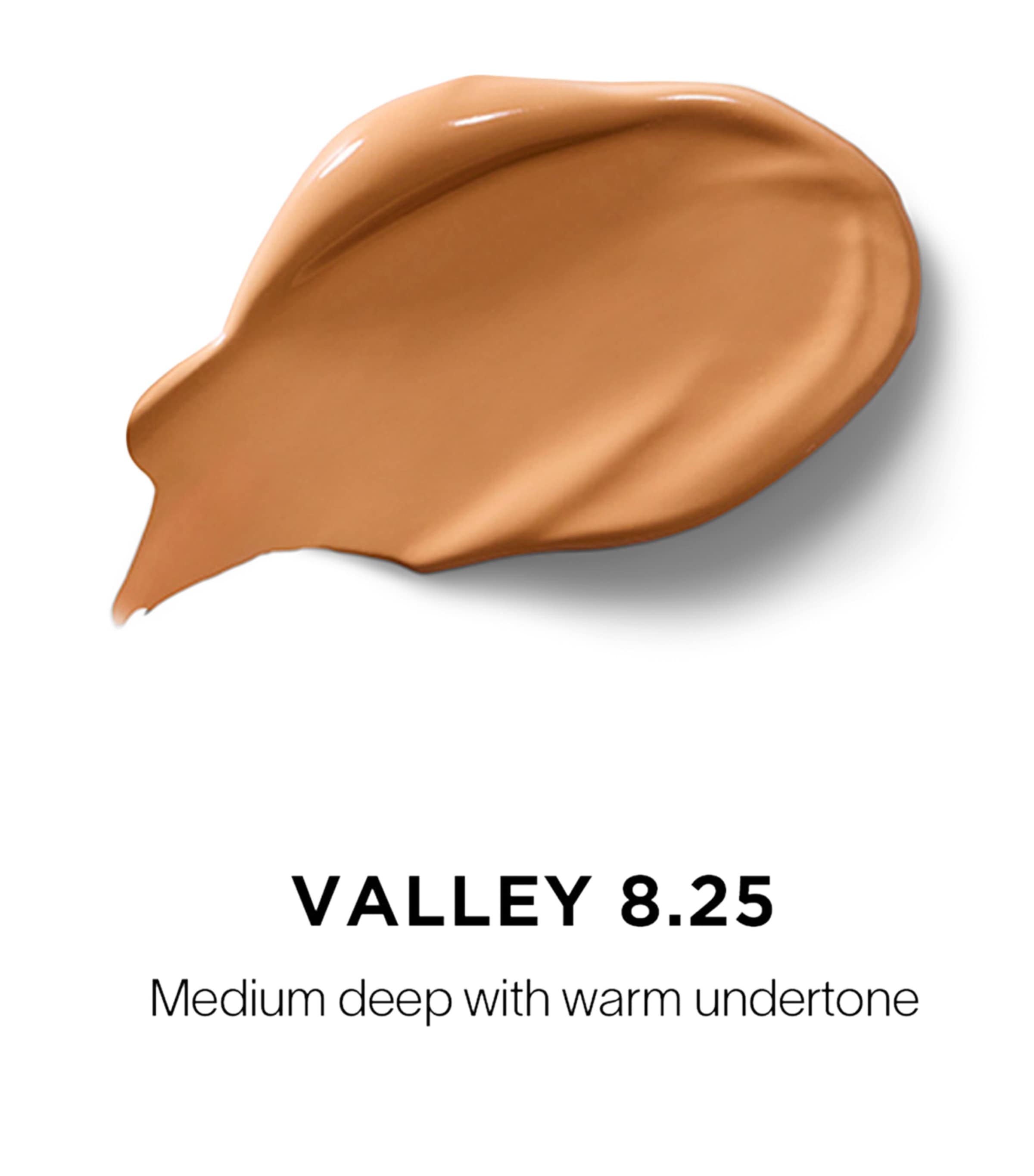 Vanish Airbrush Concealer VALLEY 8.25 Image 2