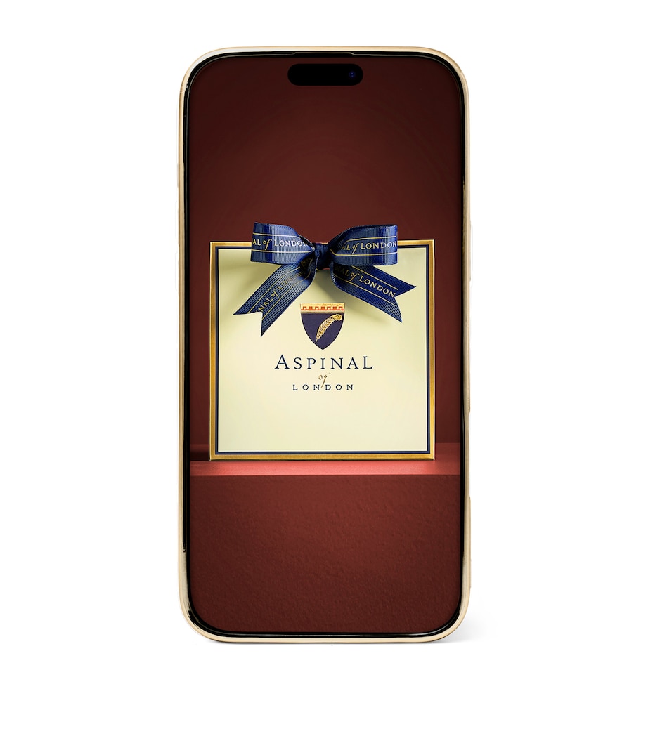 Leather iPhone 16 Pro Max Case CAPRI BLUE Image 2