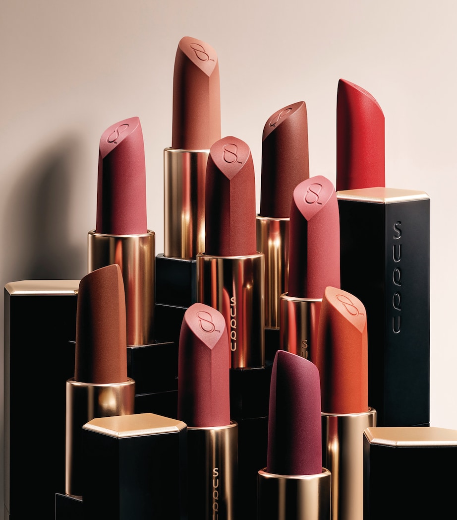 Sheer Matte Lipstick 10 BROWN RED Image 5