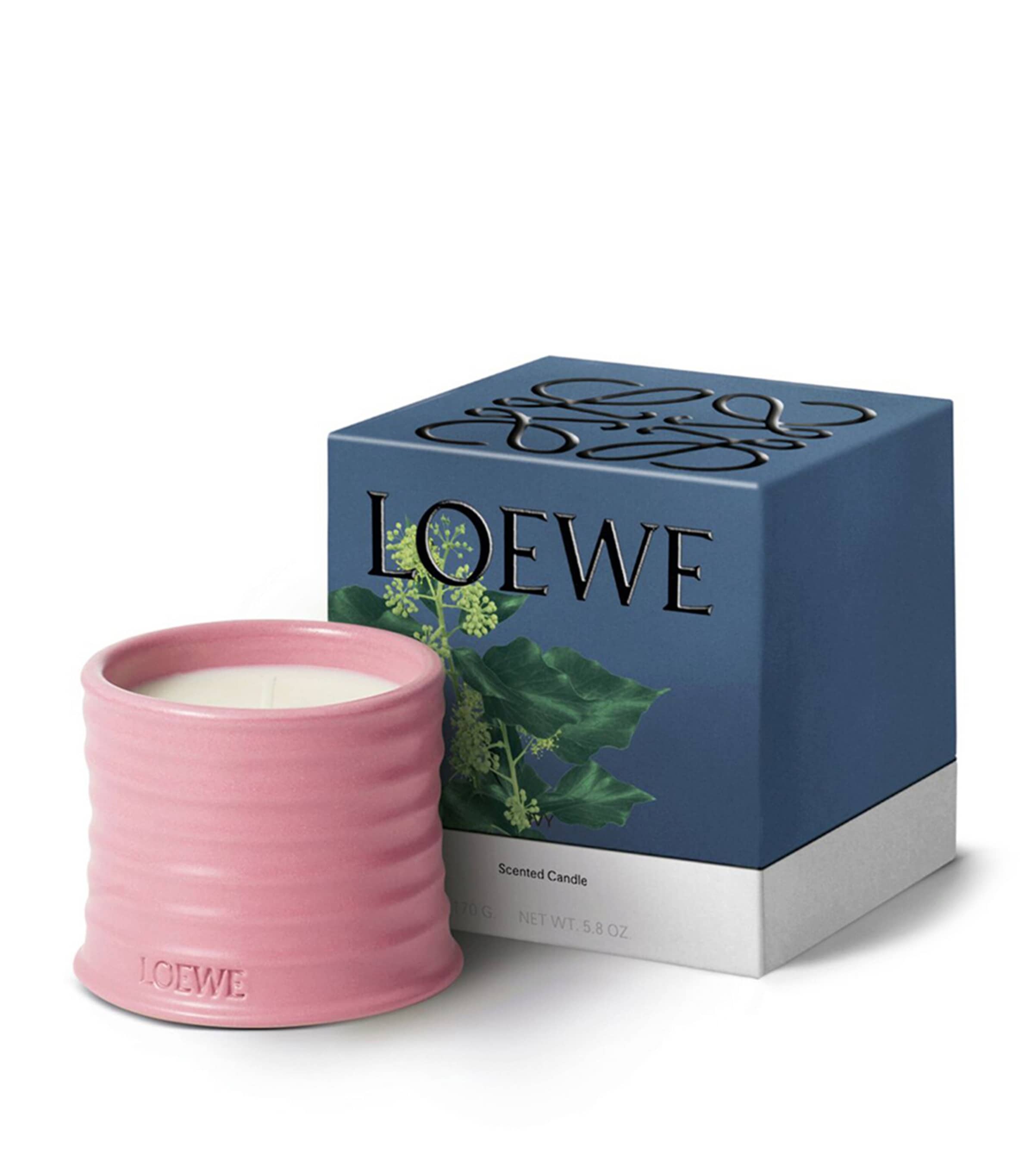 LOEWE Small Ivy Scented Candle | Harrods US