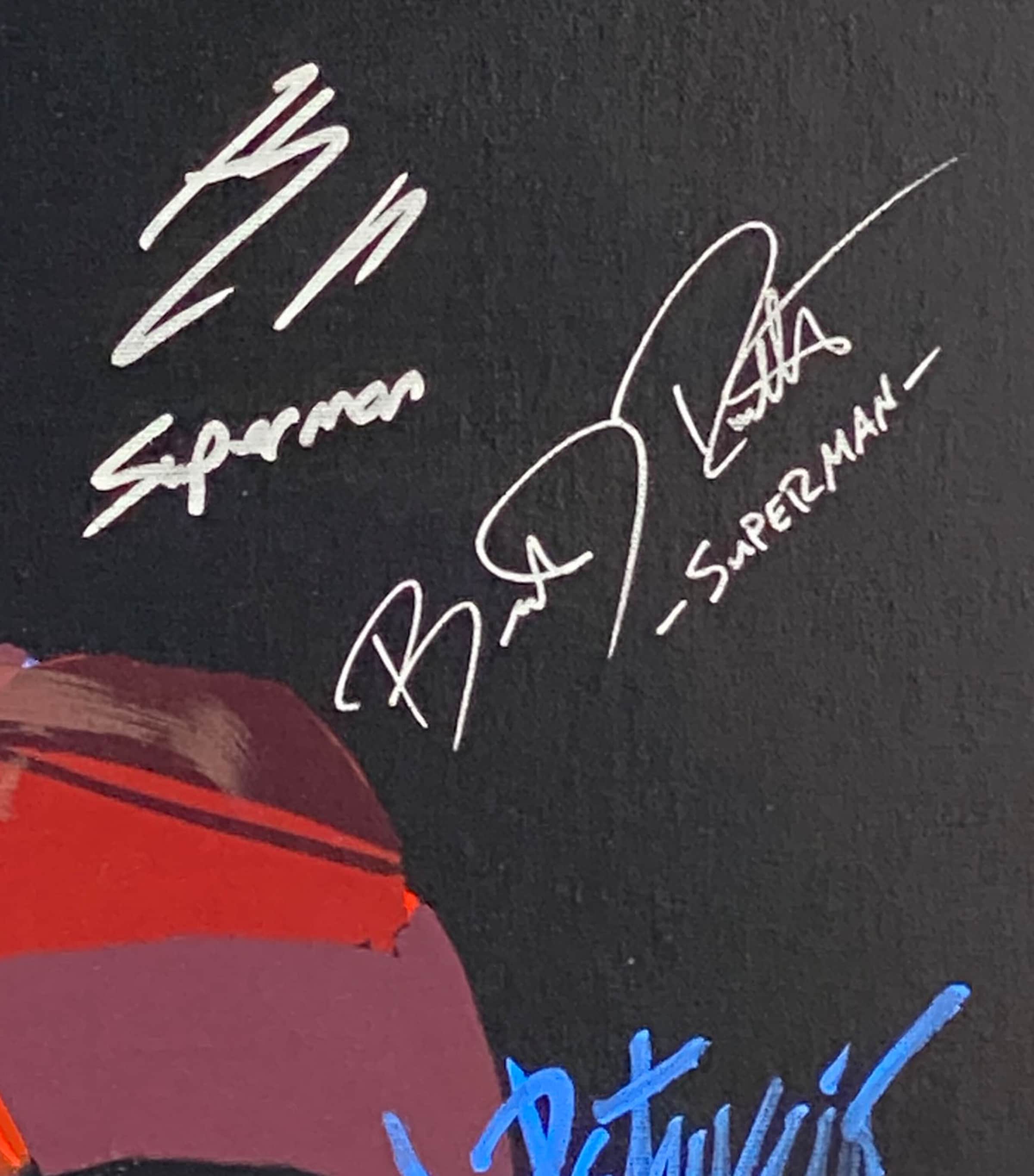 Leipzig Galleries Autographed Brandon Routh Man of Steel Display Image 2