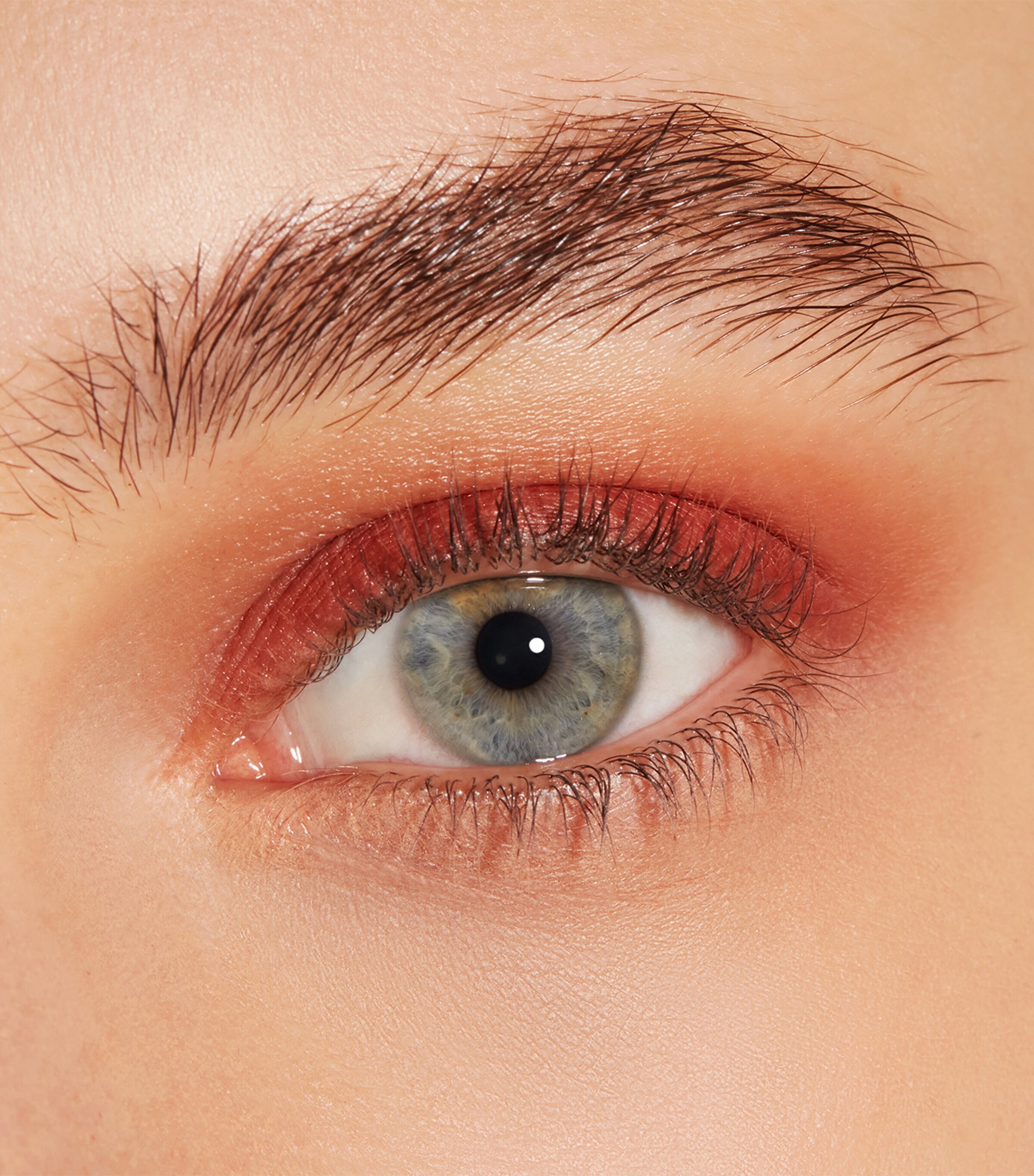 Chic Matte Mono Eyeshadow RUBY Image 6