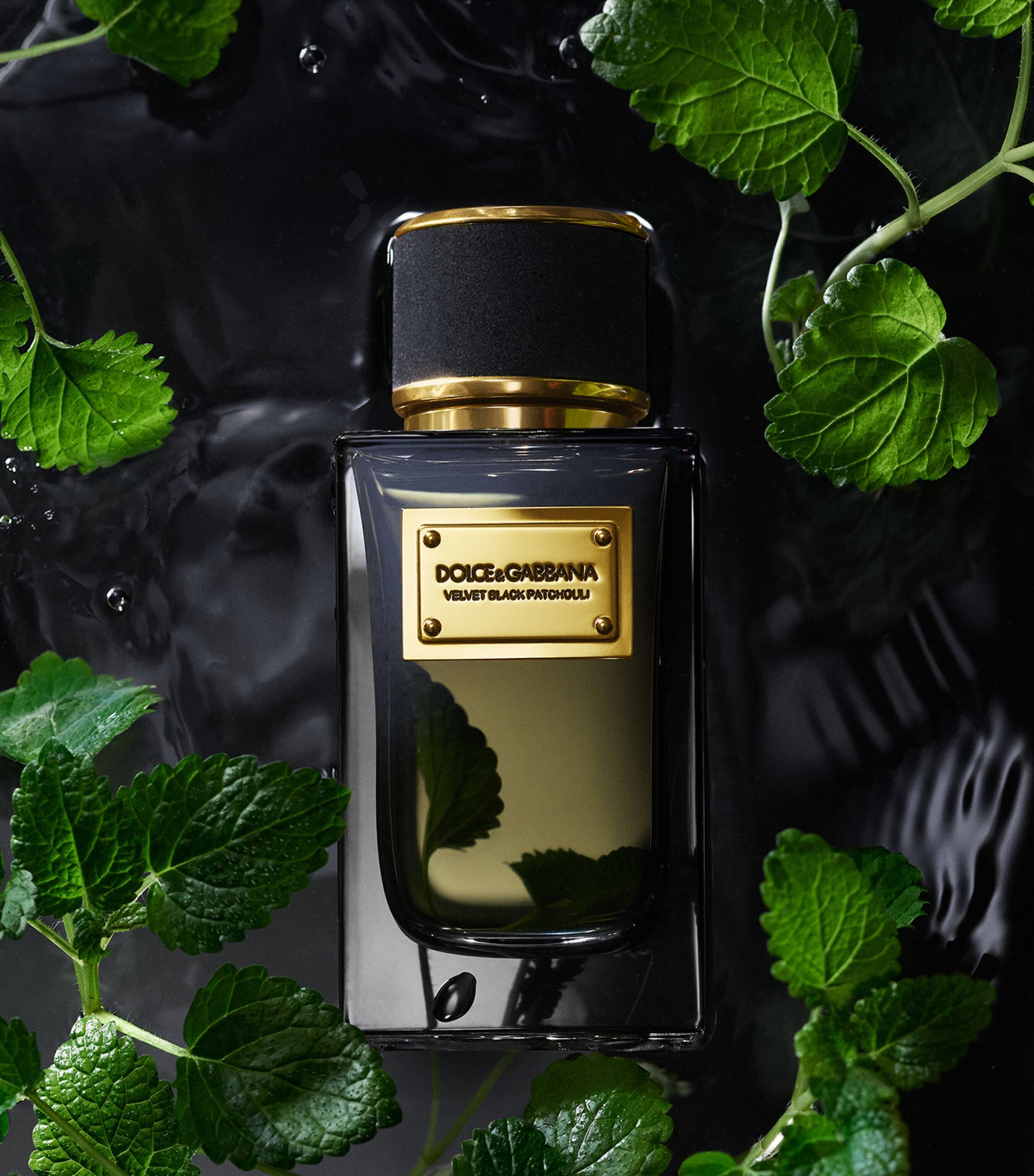 Dolce & Gabbana Velvet Black Patchouli Eau de Parfum (100ml